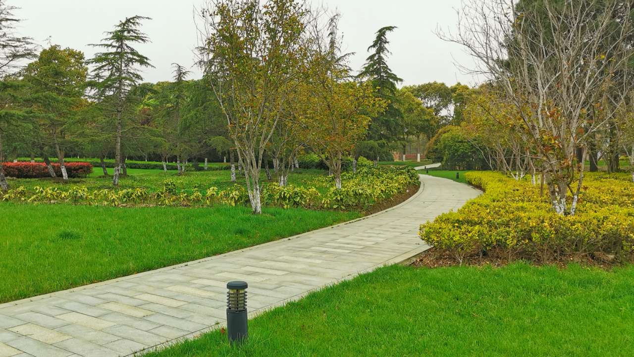 今天胜地公园春天景色