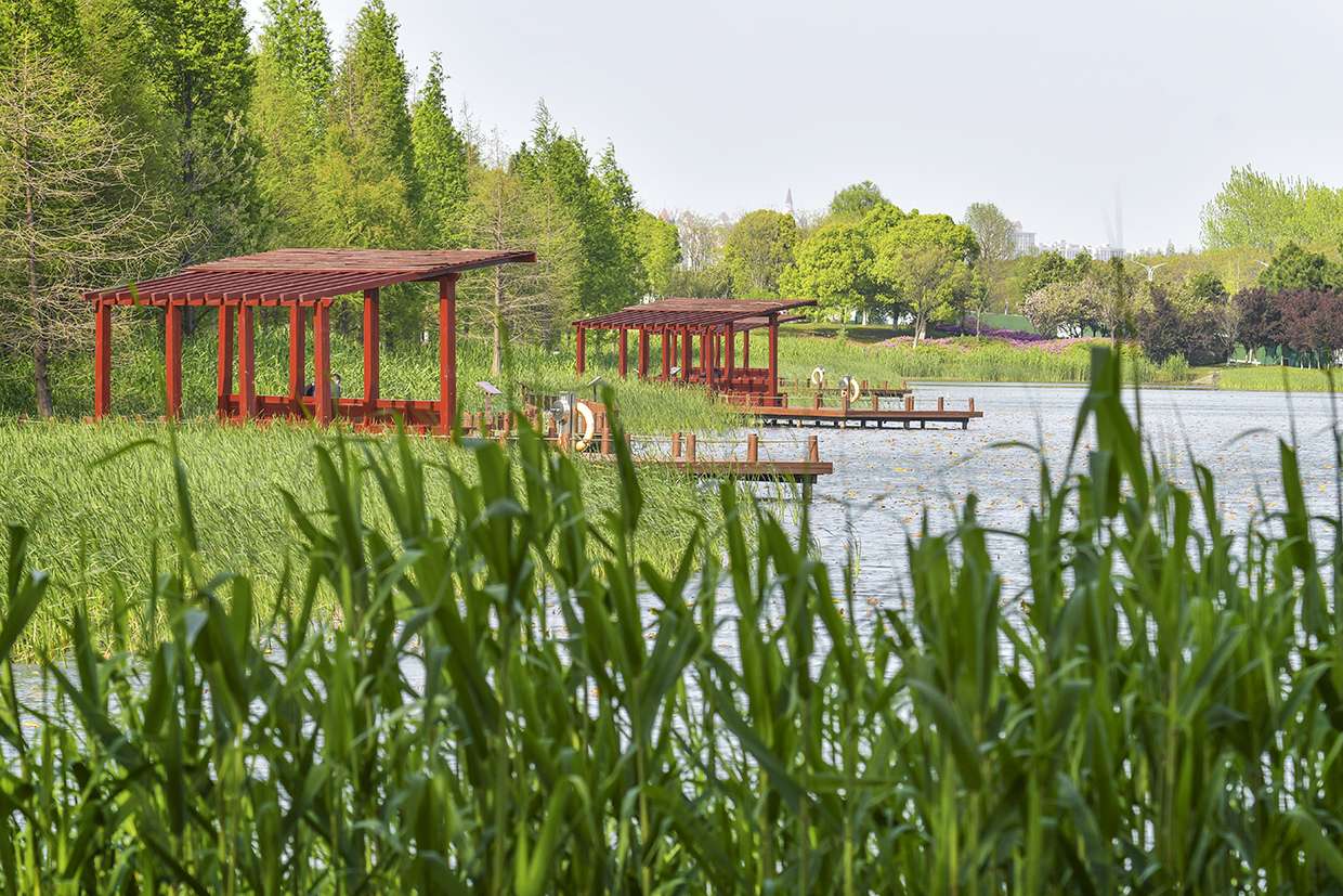 东太湖生态湿地公园