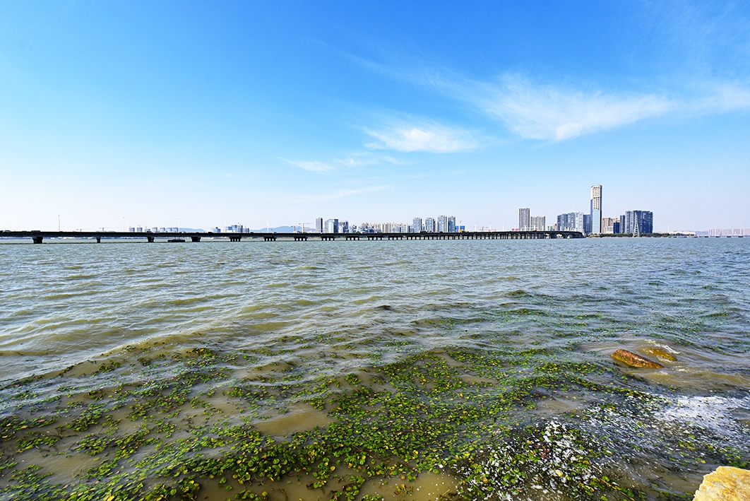 初冬的万公堤景色