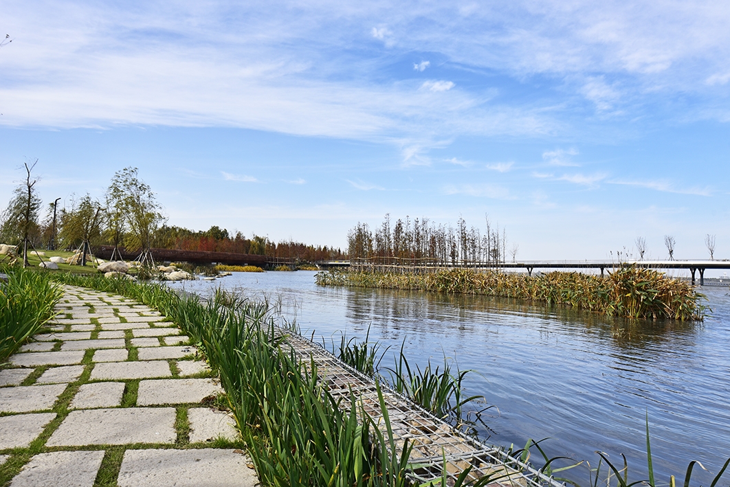 长三角汾湖湿地公园