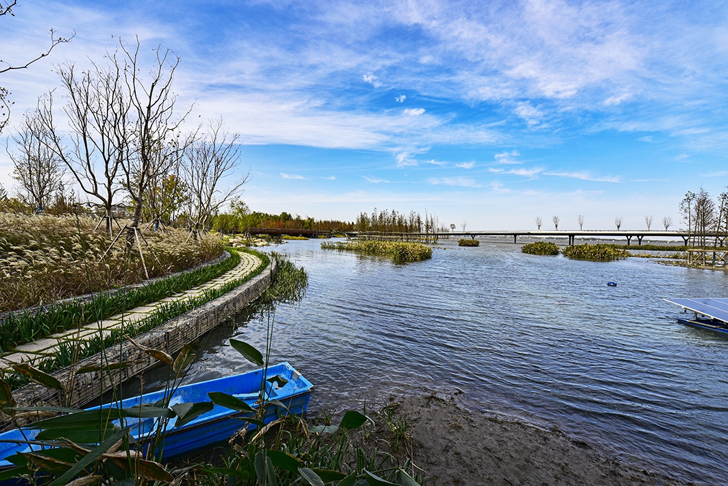 长三角汾湖湿地公园
