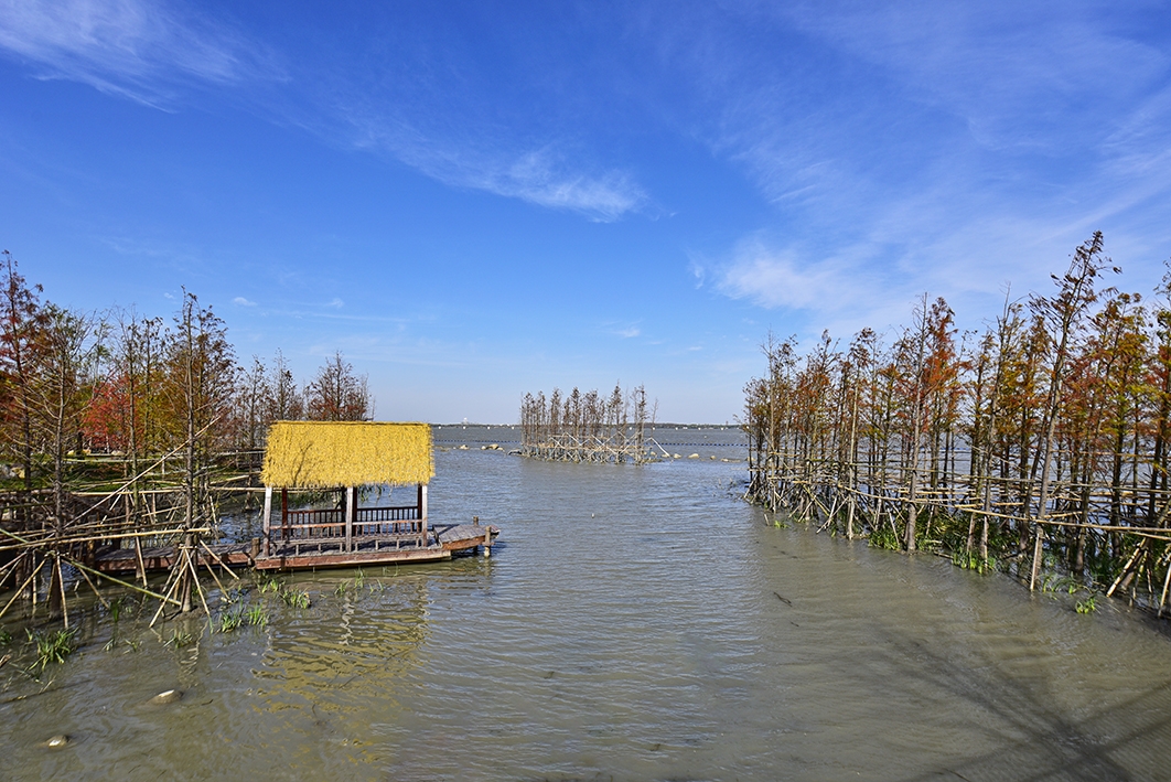 长三角汾湖湿地公园