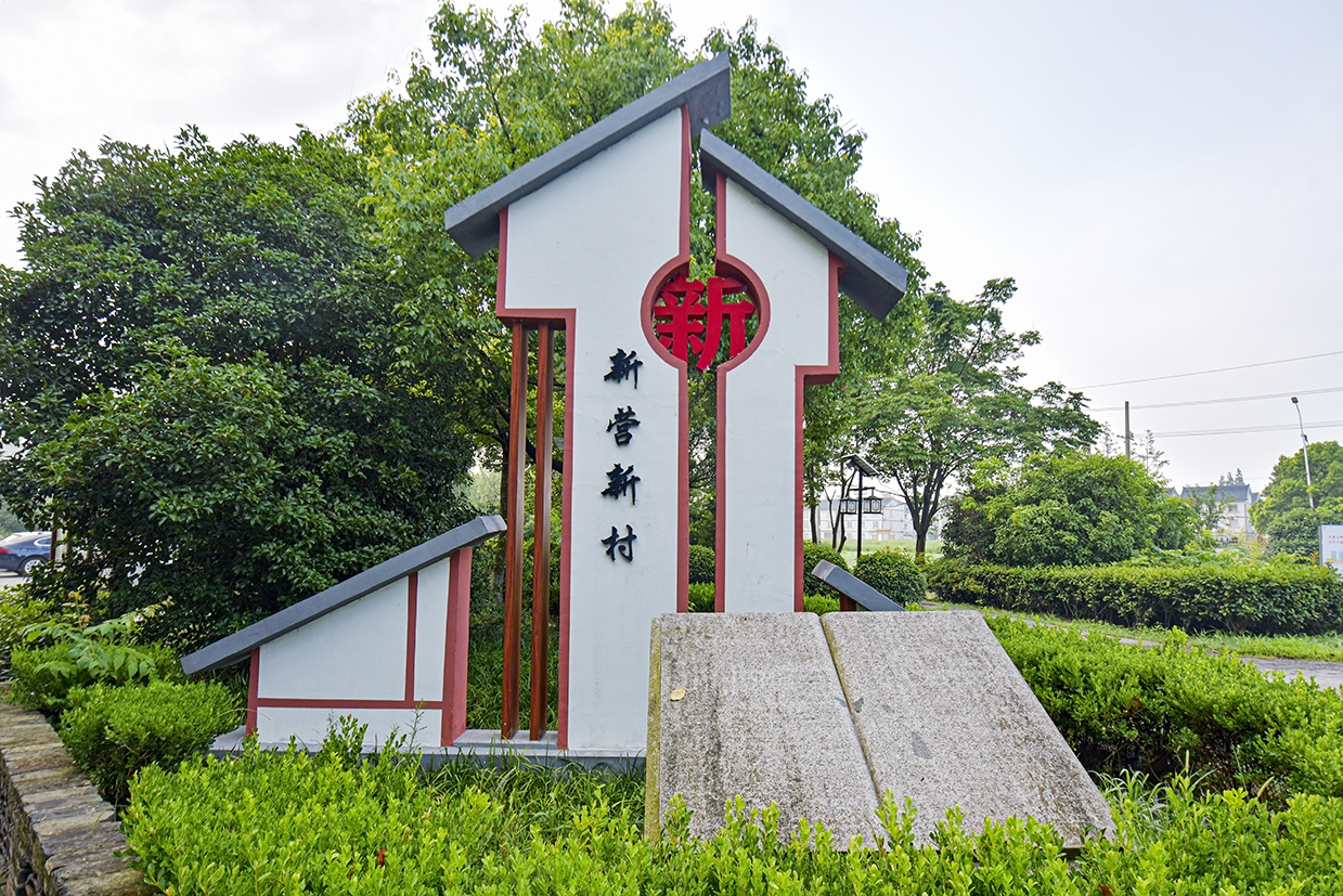 特色田园乡村八坼街道新营村