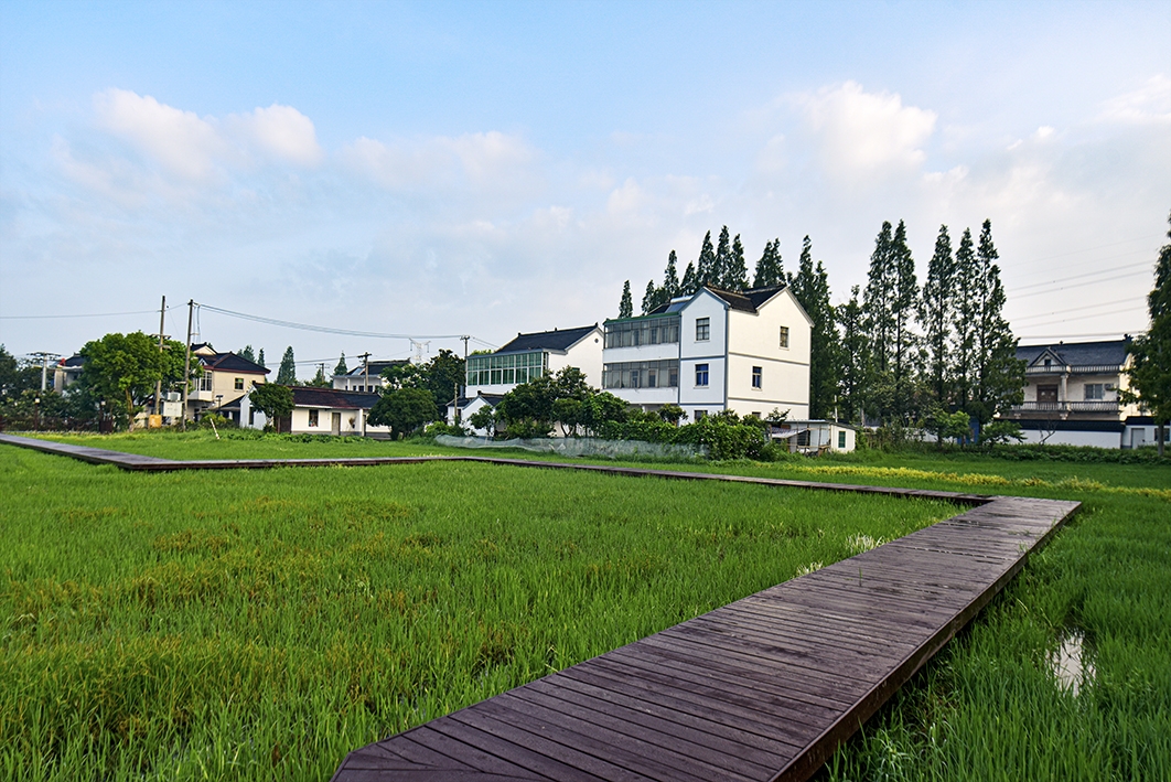 特色田园乡村八坼街道新营村