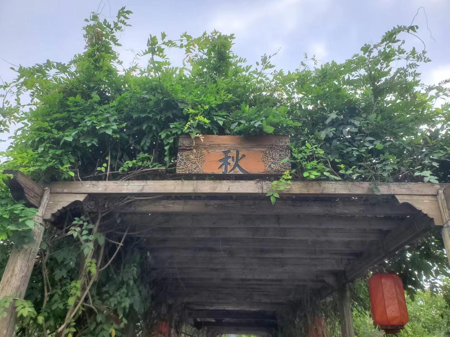 微信图片_20231008091107.jpg