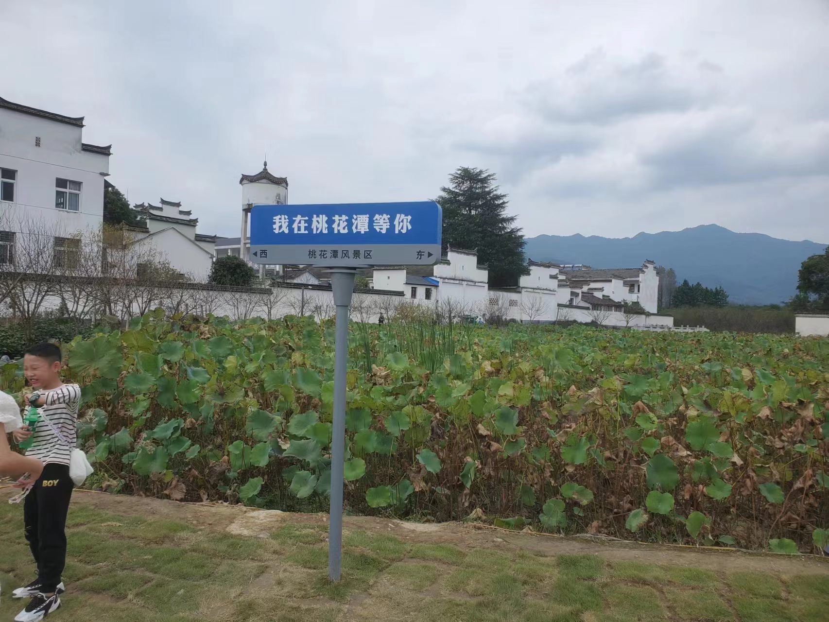 微信图片_202310080911061.jpg