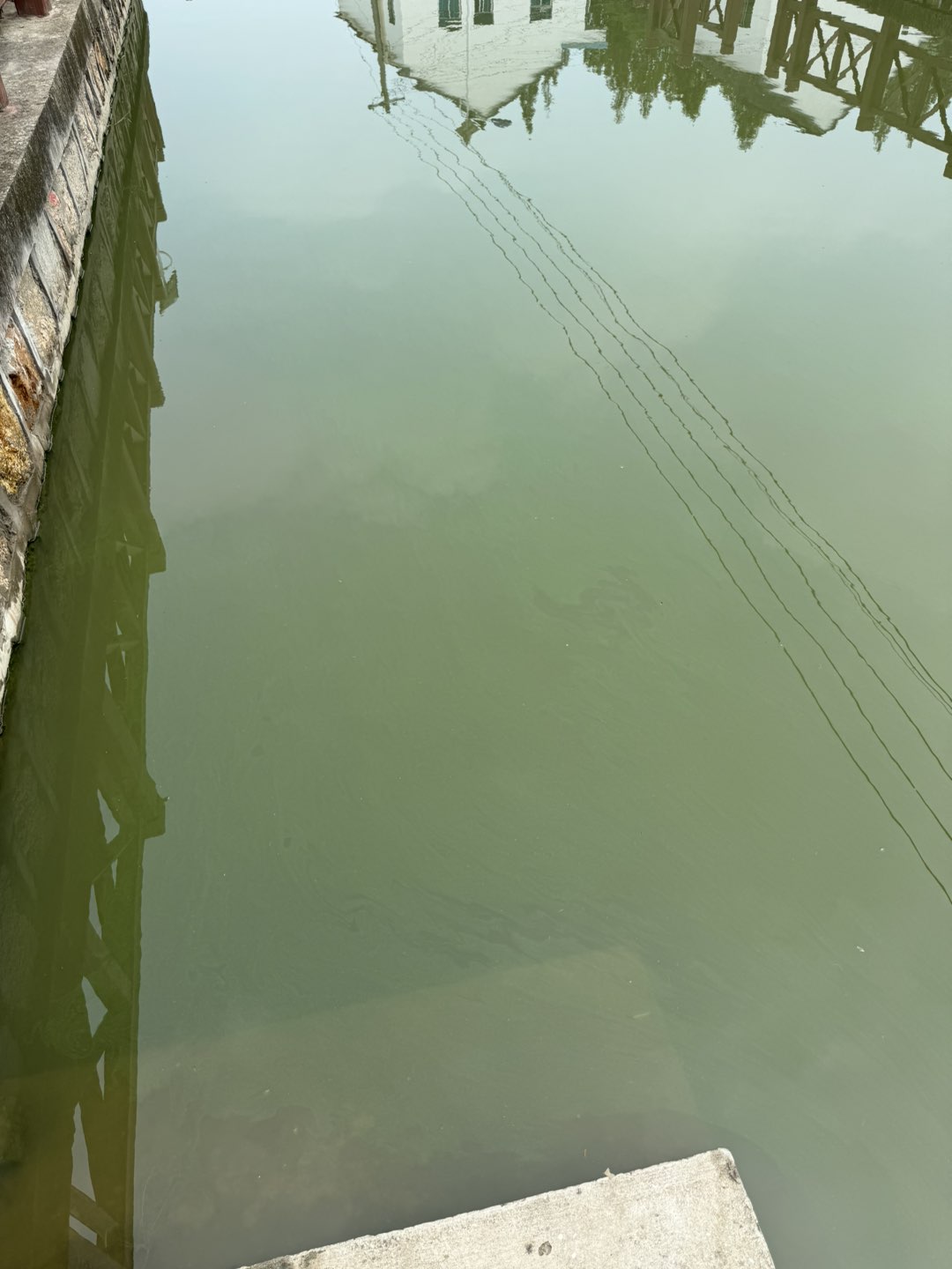 20240828144315front1_0_492354_FhvhmYK9-JbyfE65aioDpOMof5dT.jpg