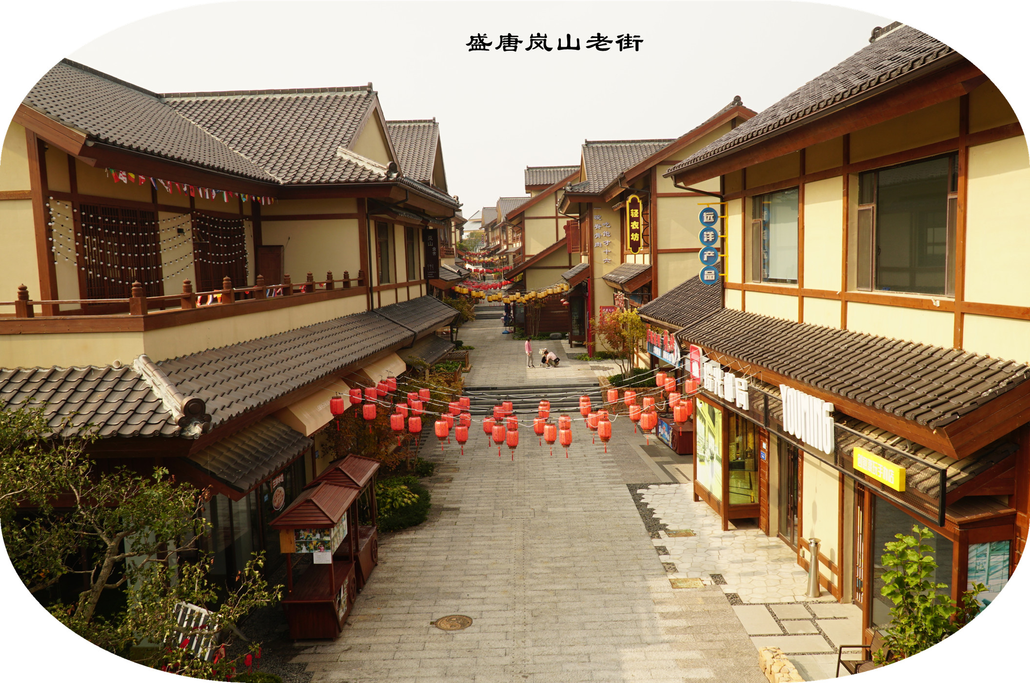 DSC02616.jpg