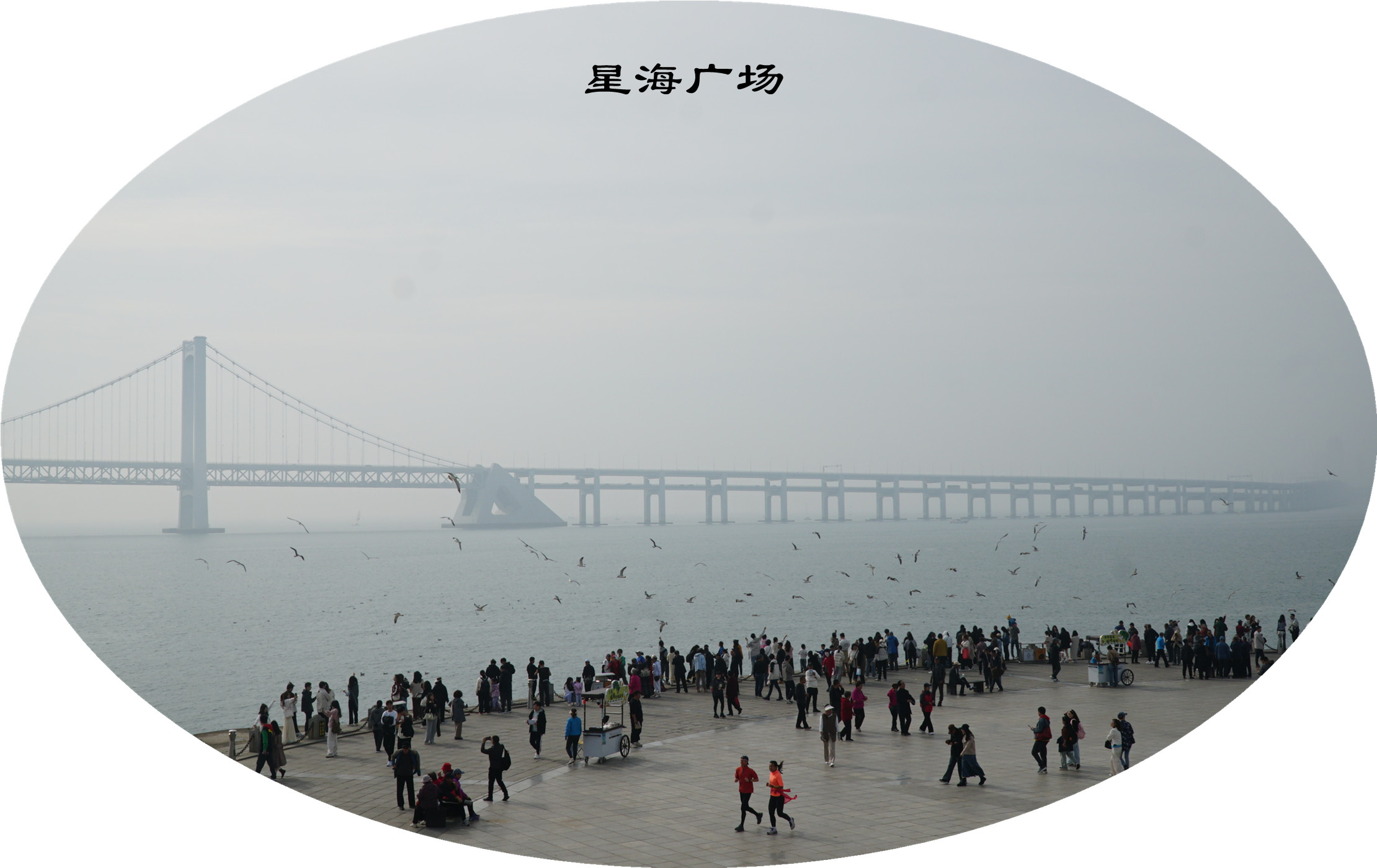 DSC02726.jpg