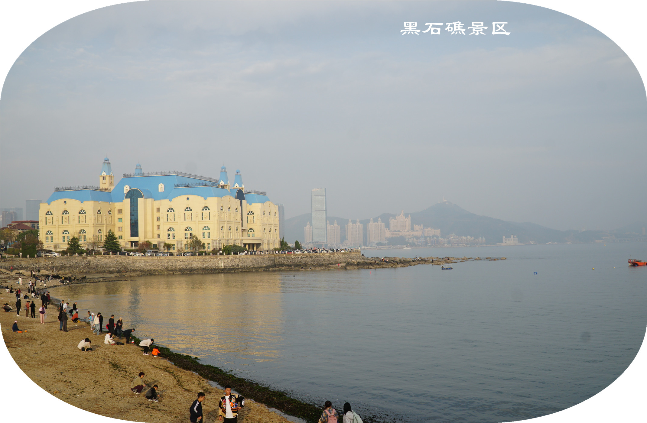 DSC02769.jpg