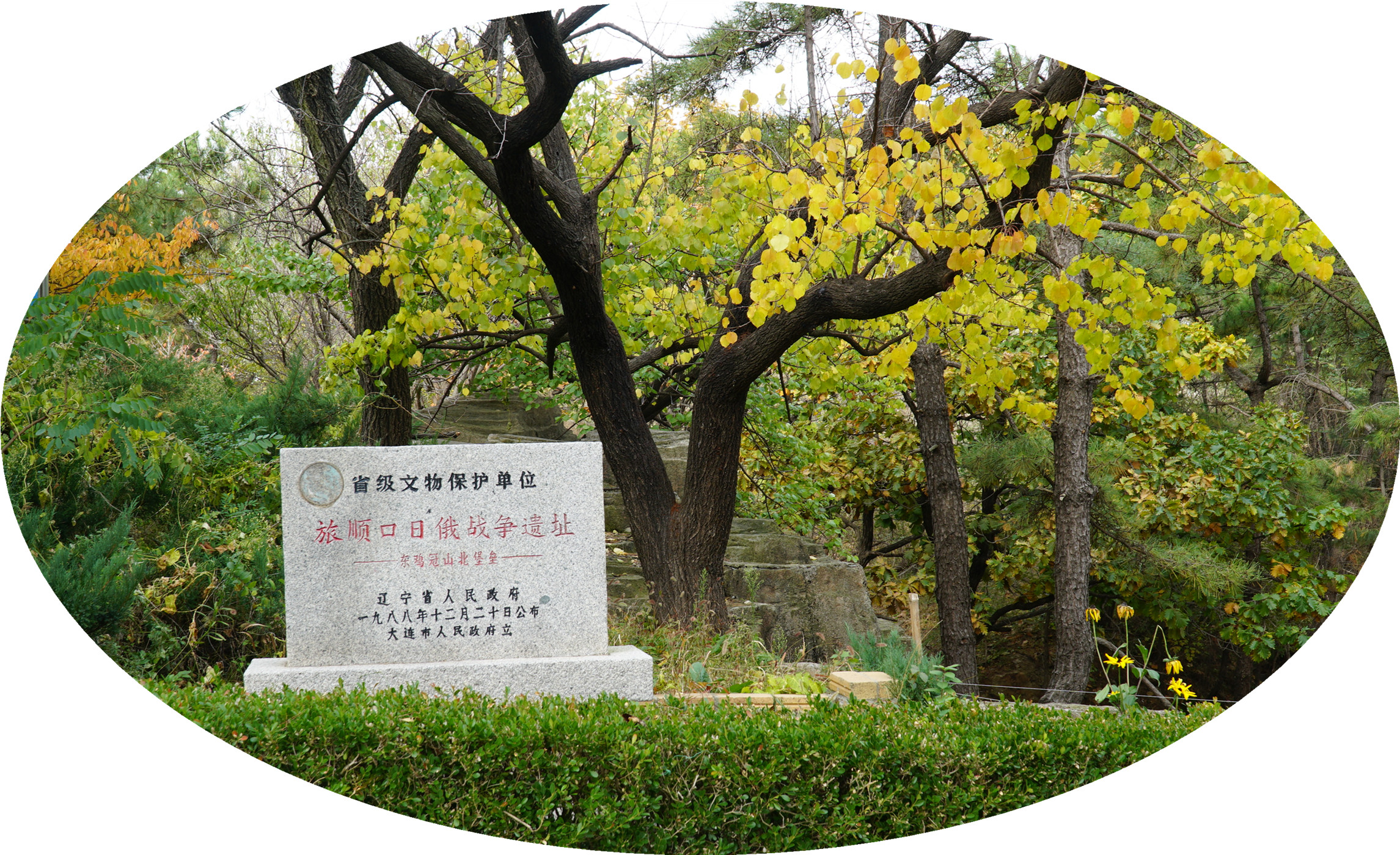 DSC02816.jpg