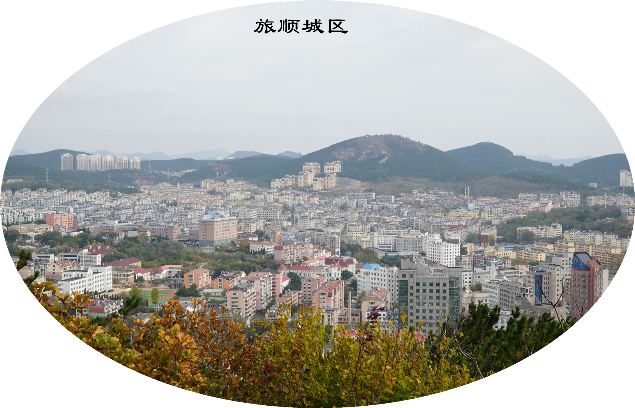 DSC02821.jpg