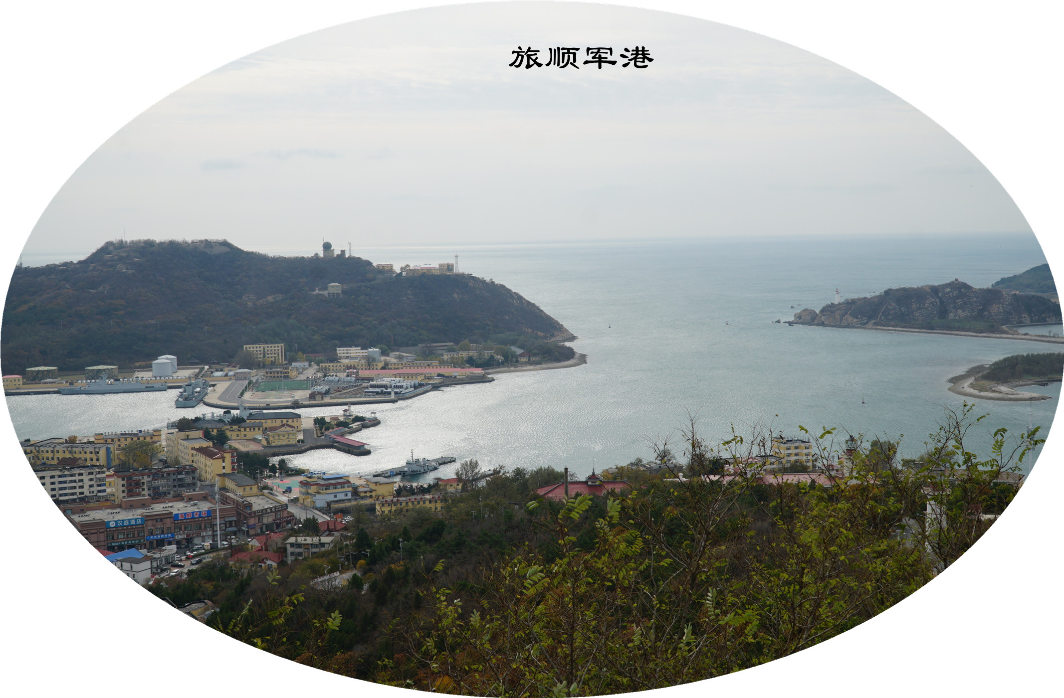 DSC02823.jpg