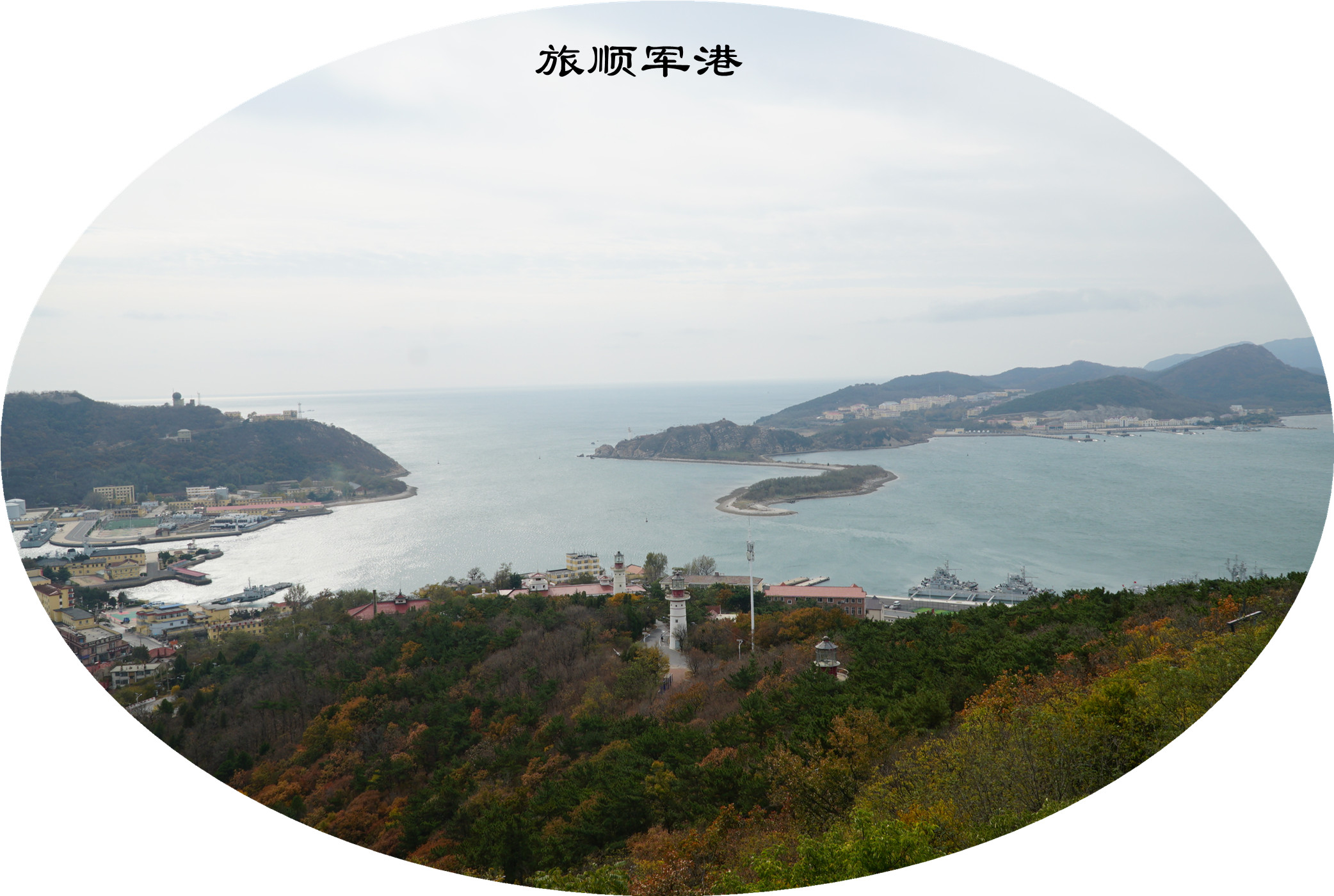 DSC02825.jpg