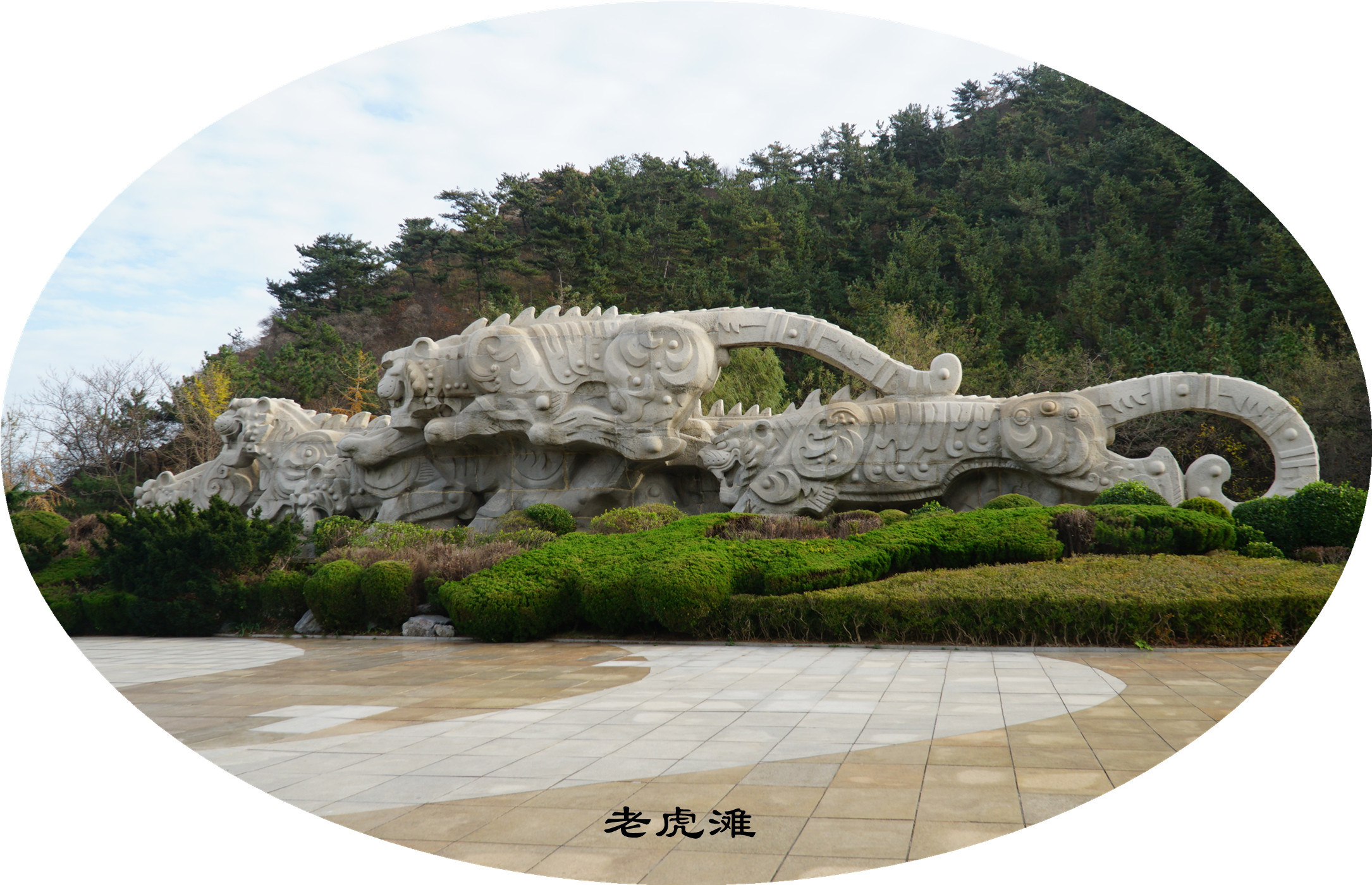 DSC02858.jpg