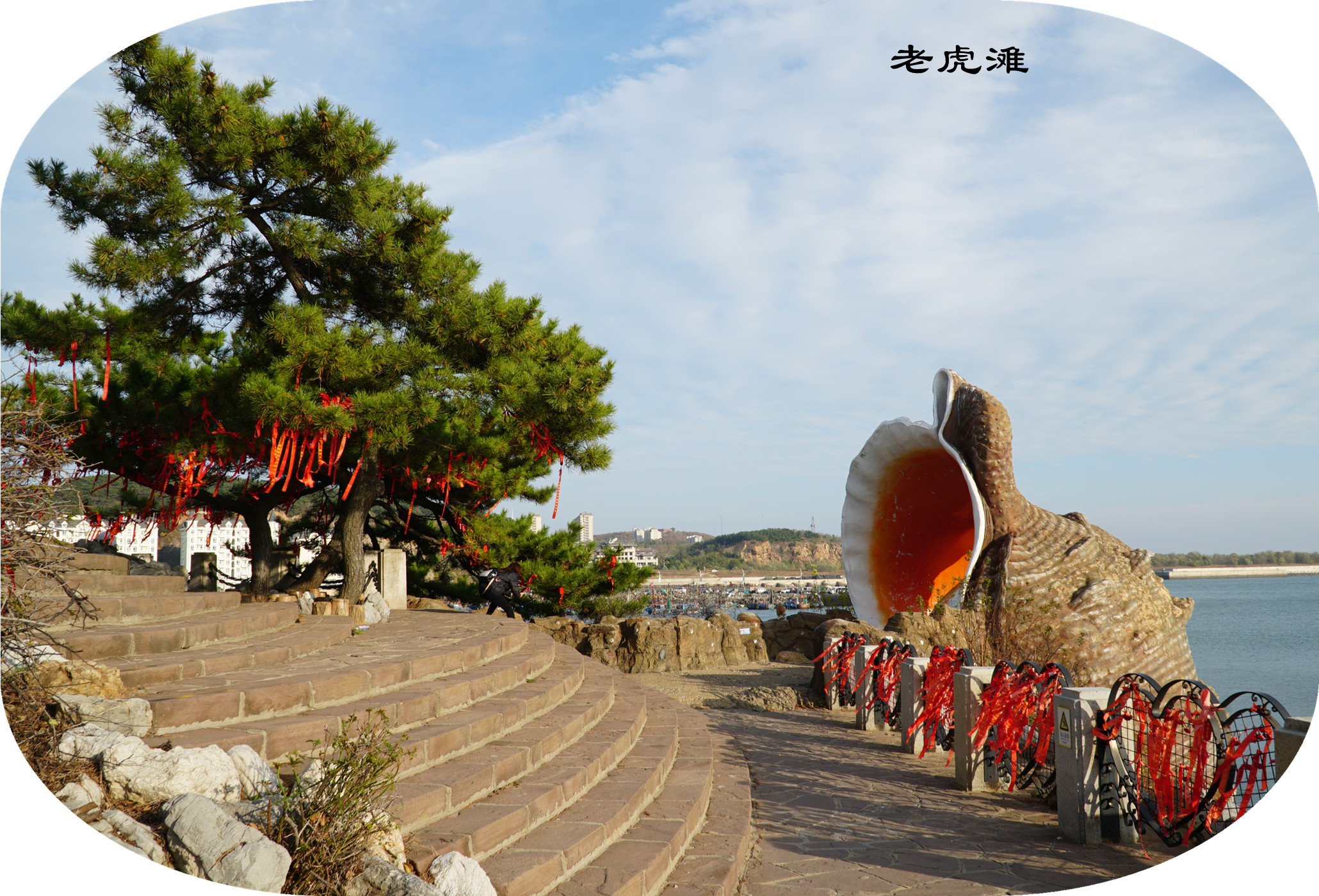 DSC02870.jpg