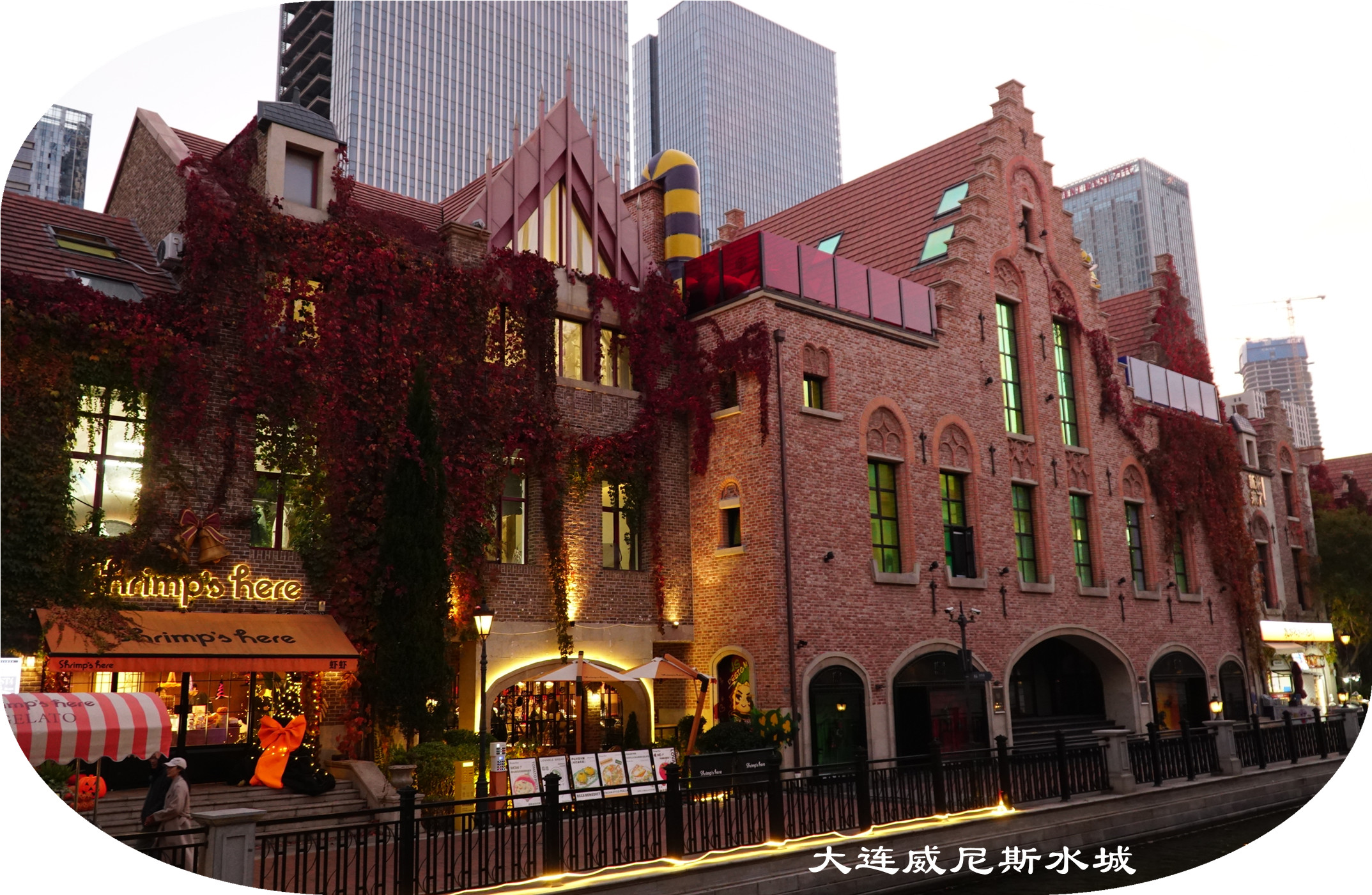 DSC02886.jpg