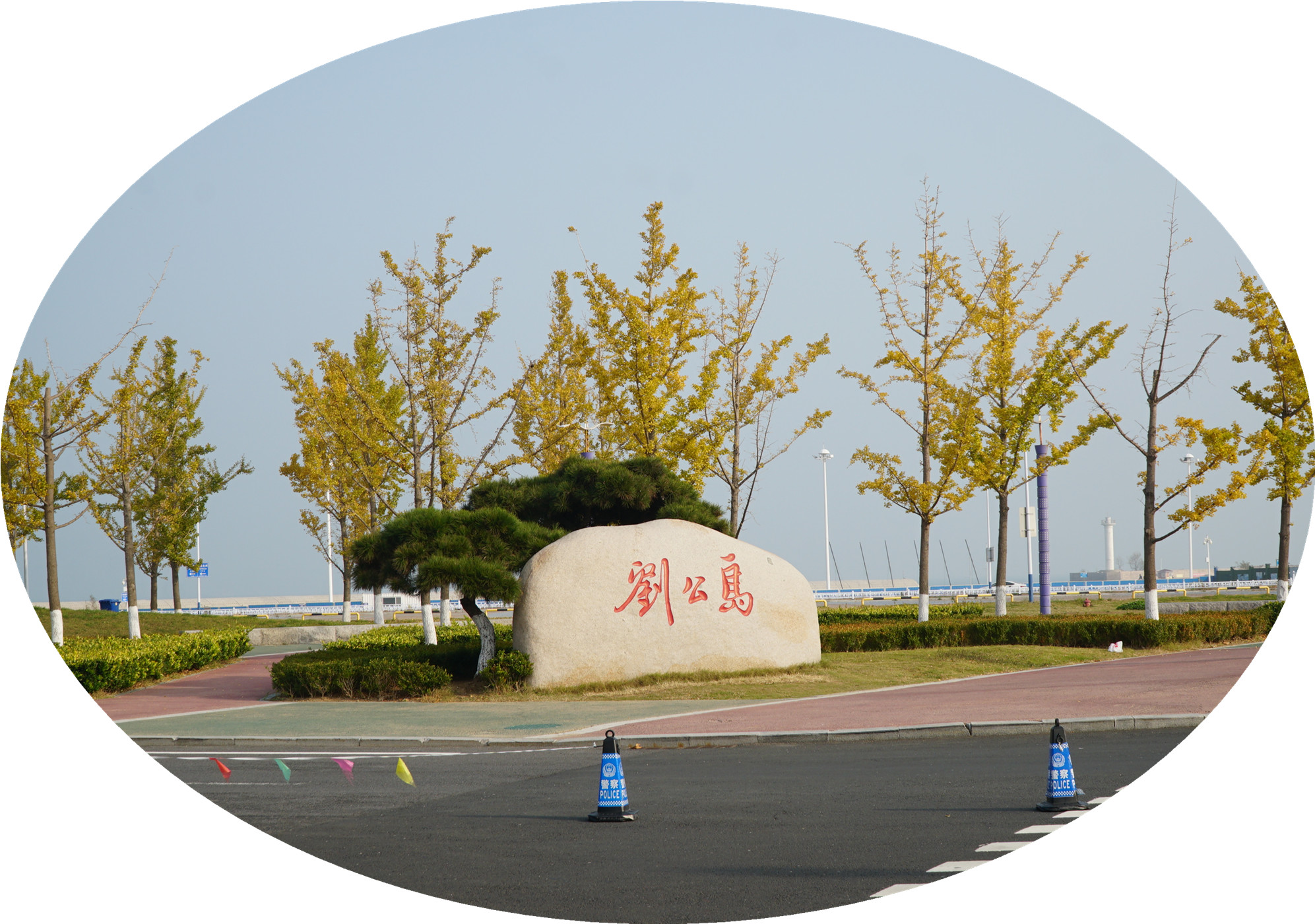 DSC03115.jpg