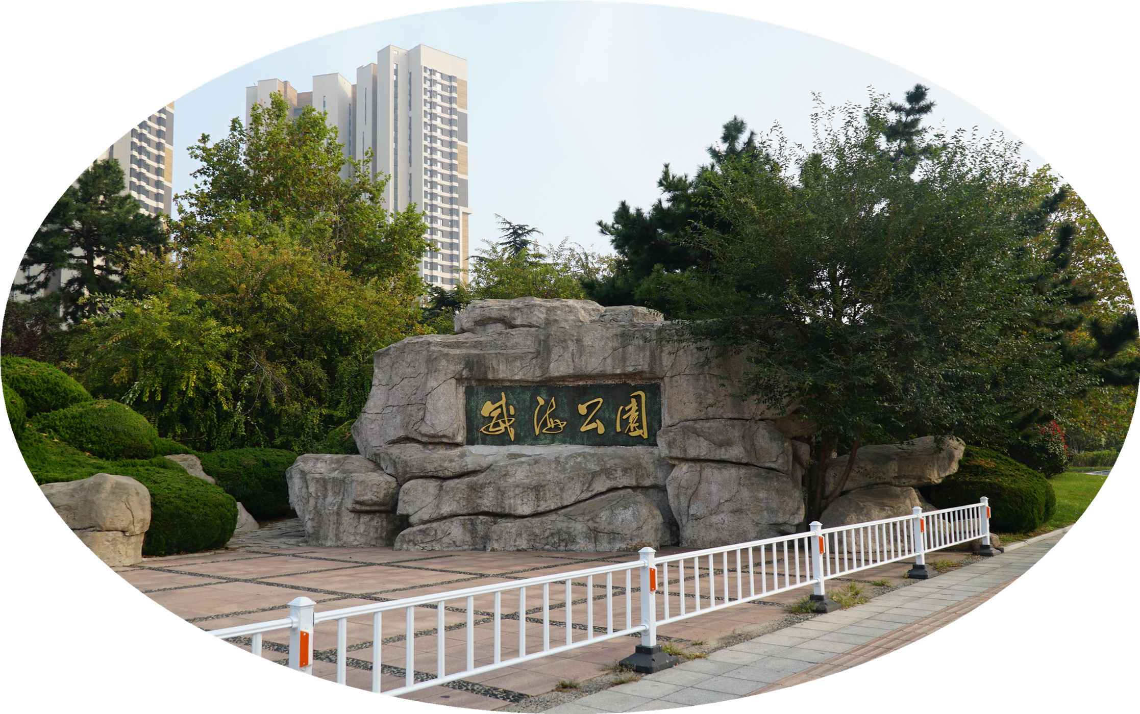 DSC03116.jpg