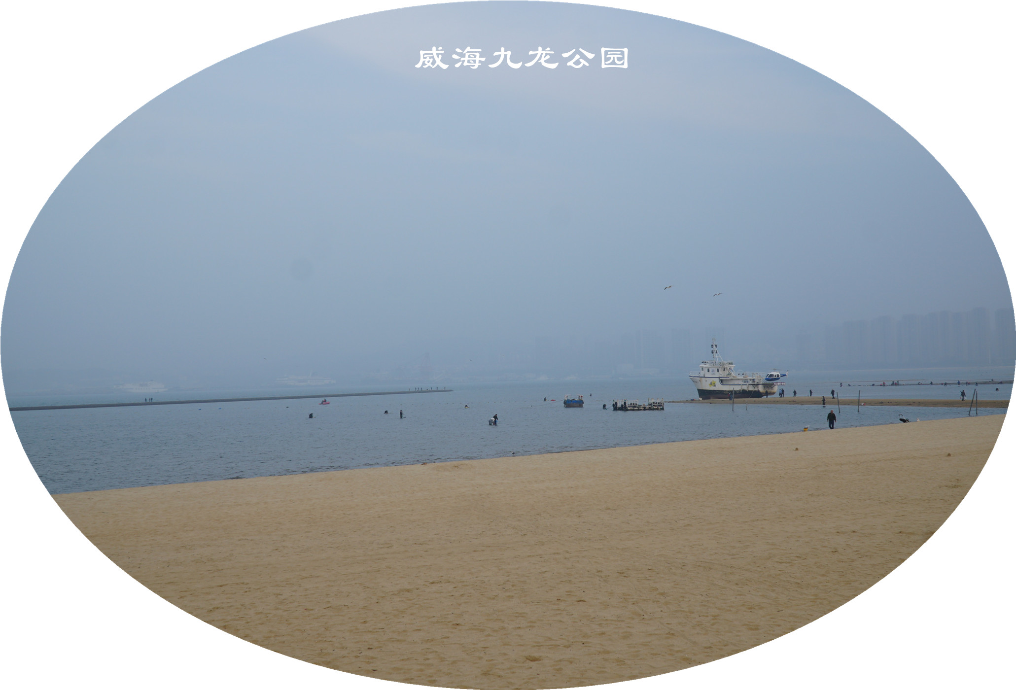 DSC03139.jpg