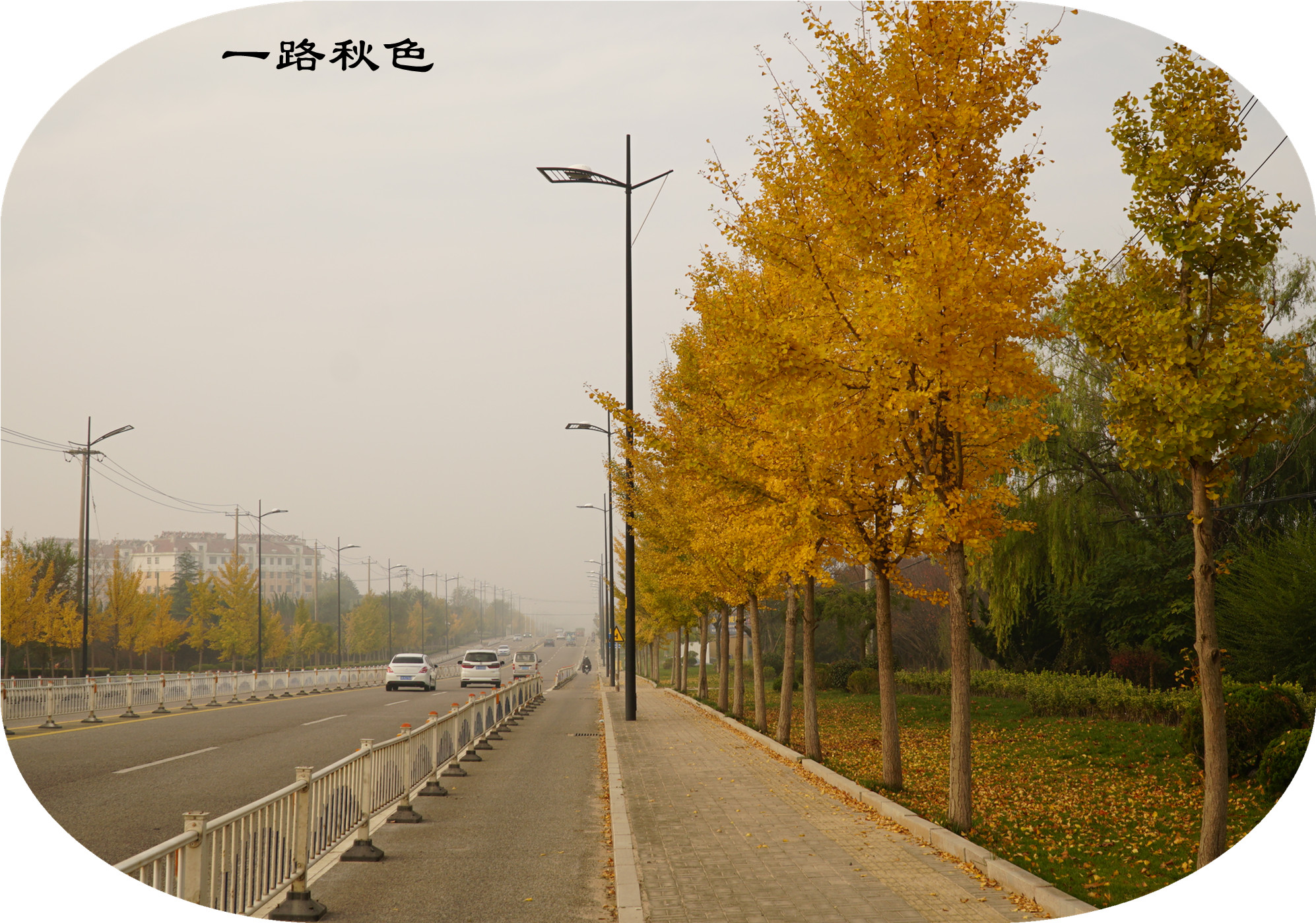 DSC03177.jpg