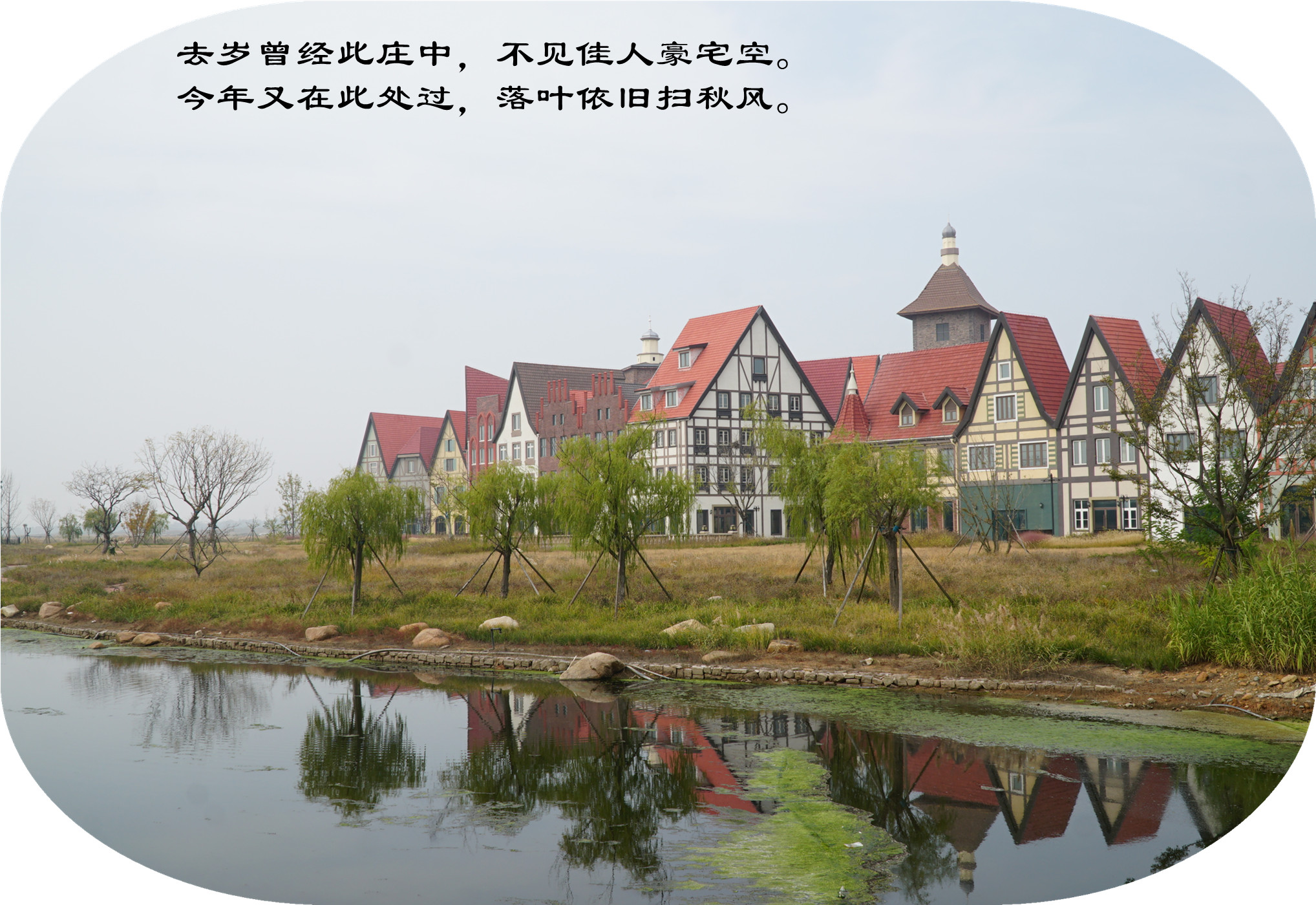 DSC03205.jpg