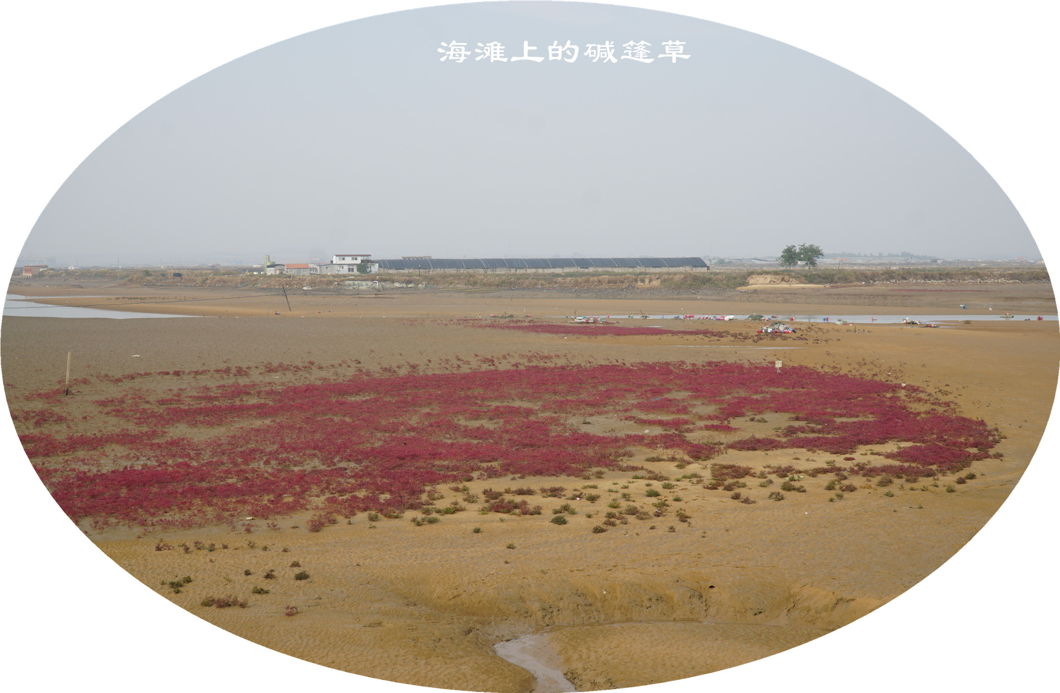 DSC03207.jpg