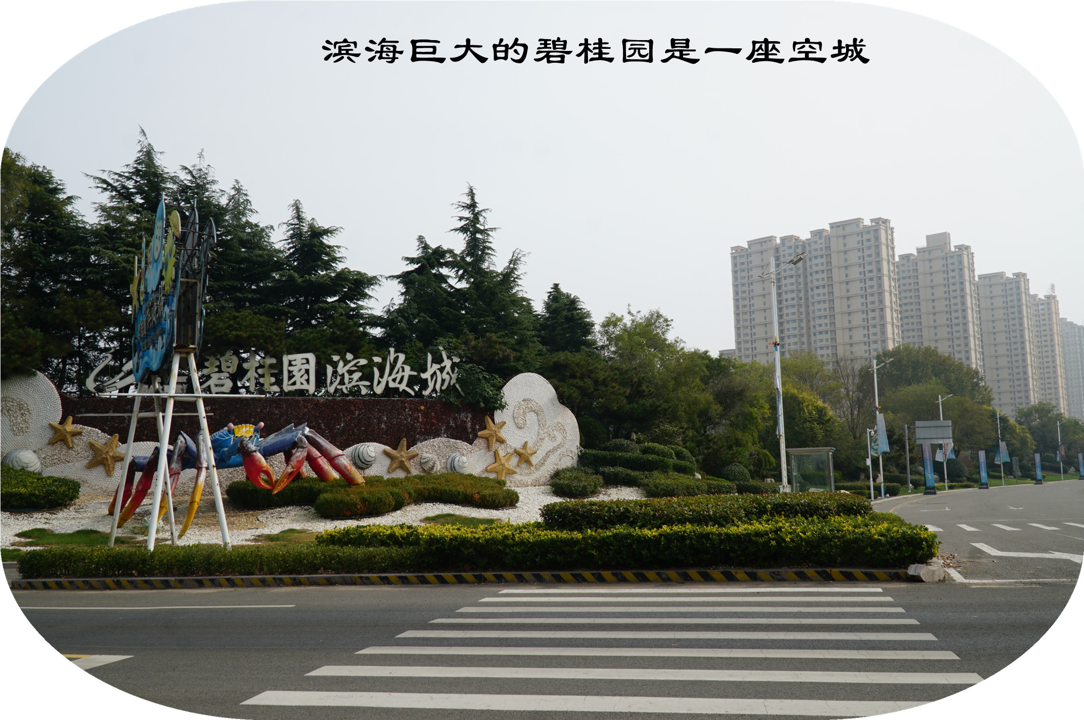 DSC03209.jpg