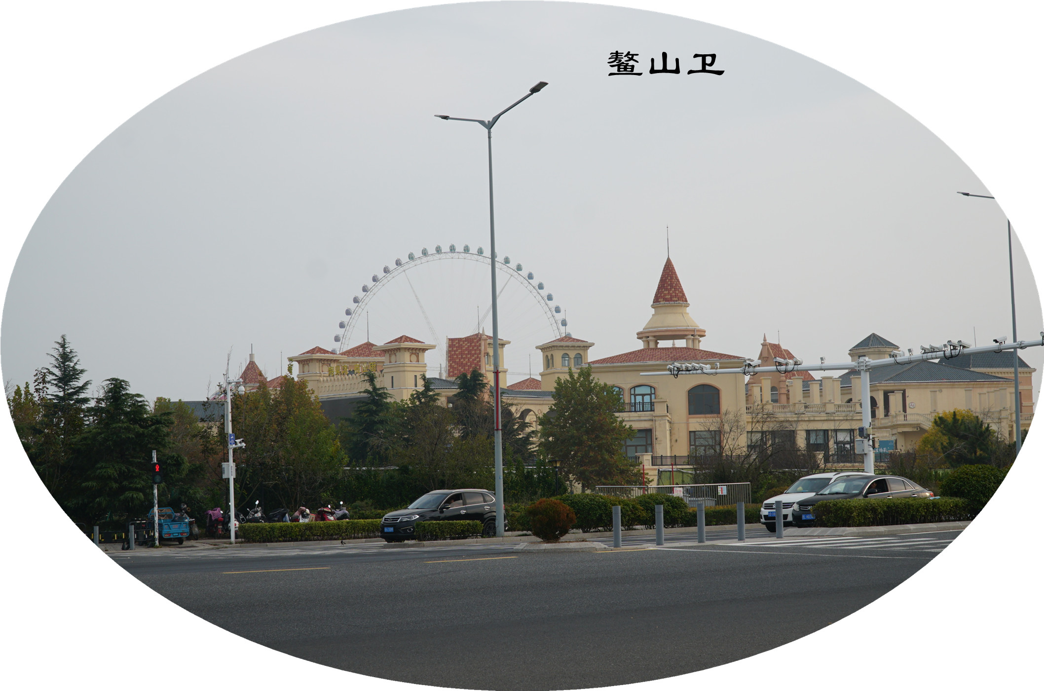 DSC03225.jpg