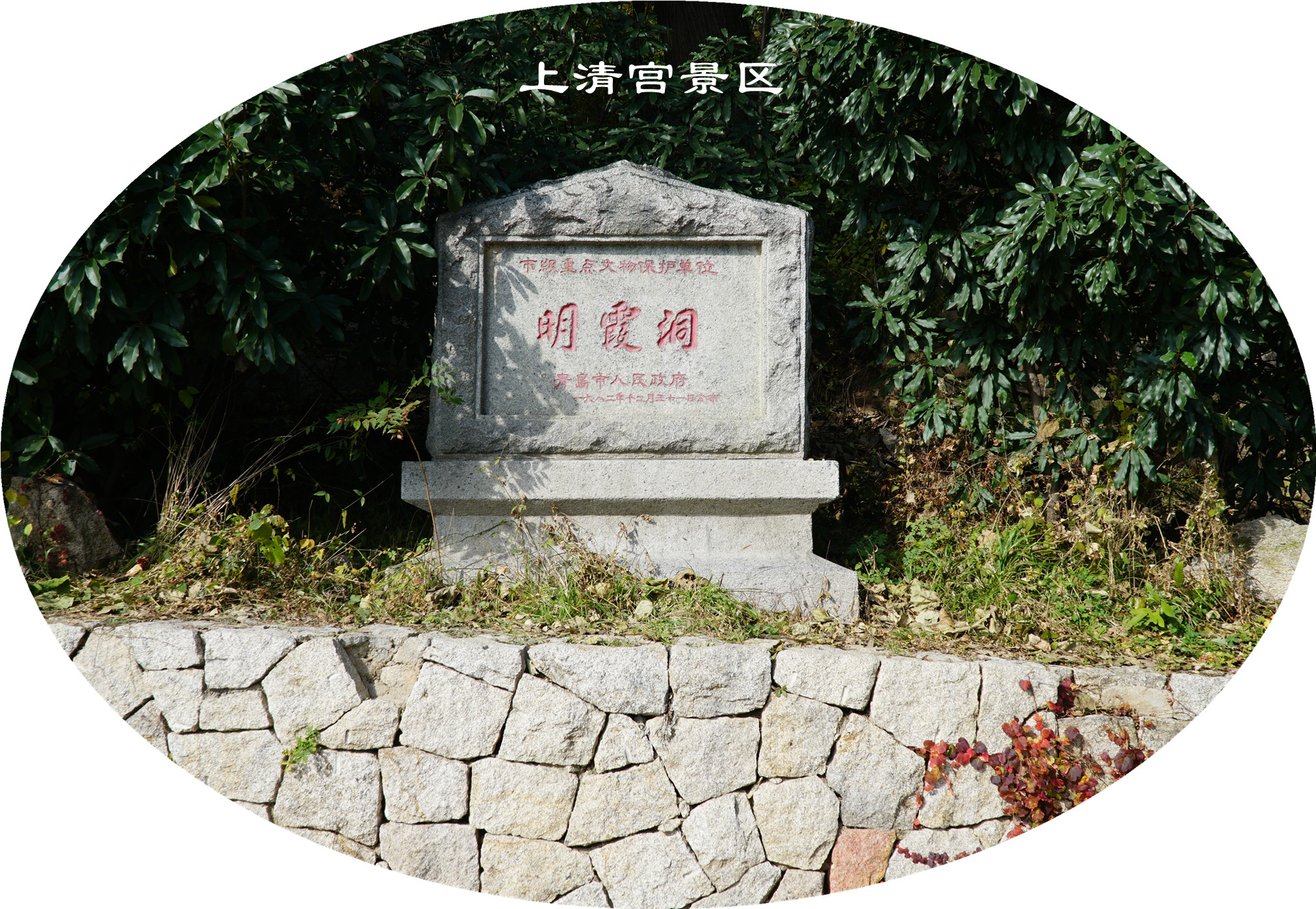 DSC03244.jpg