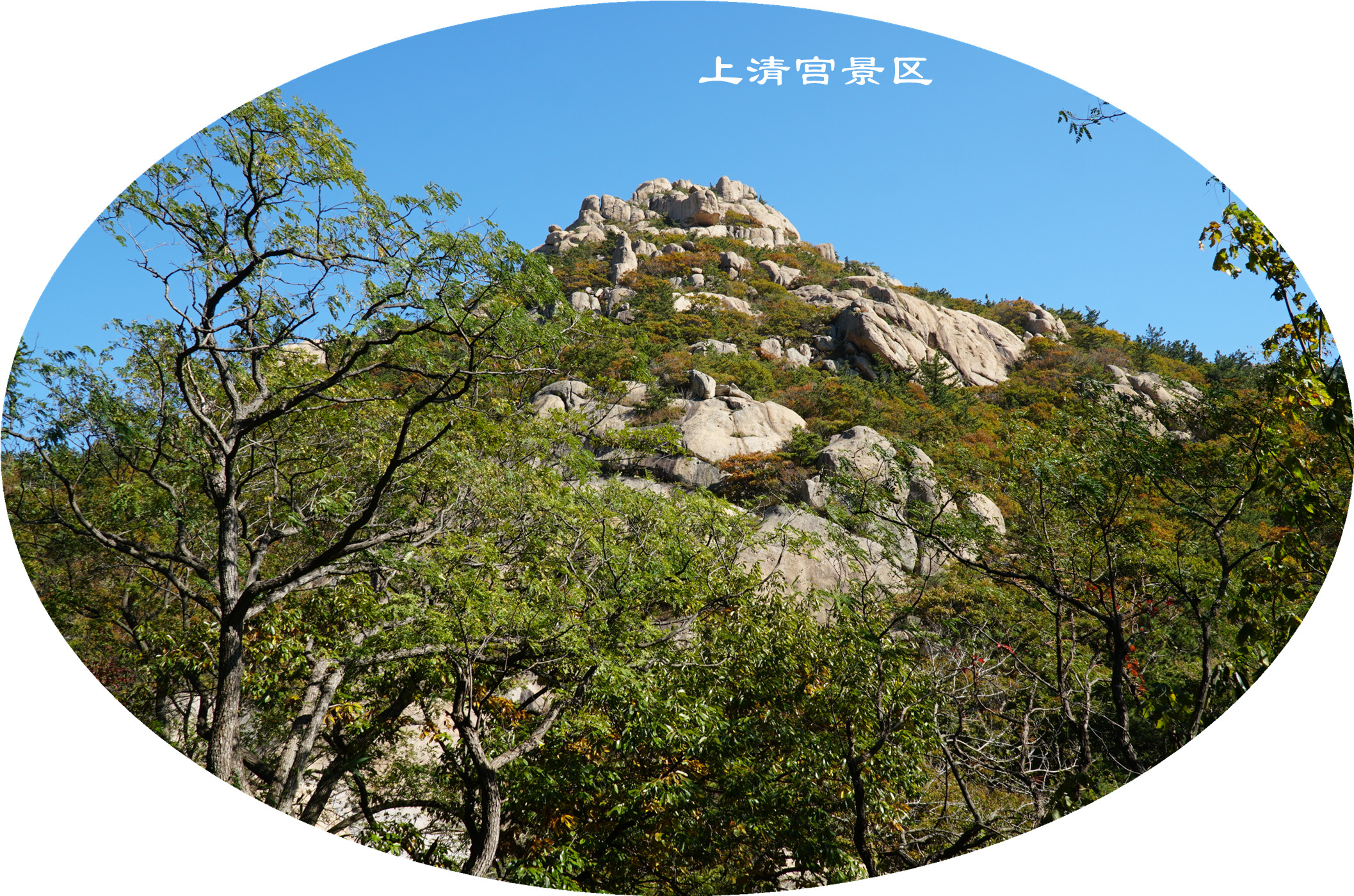 DSC03263.jpg