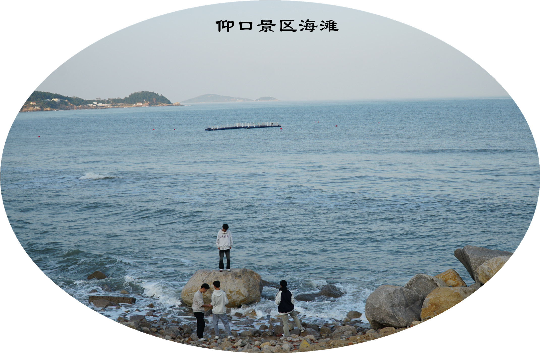 DSC03361.jpg