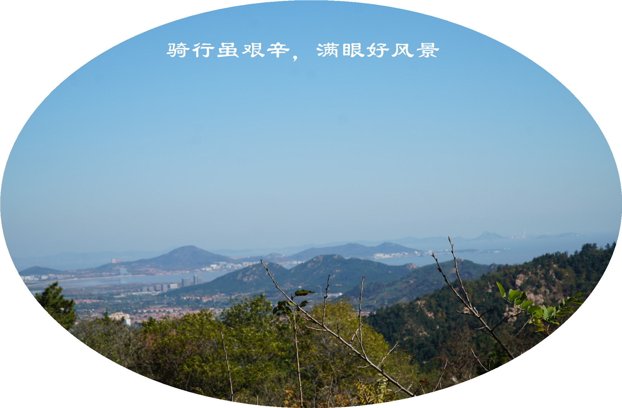 DSC03375.jpg