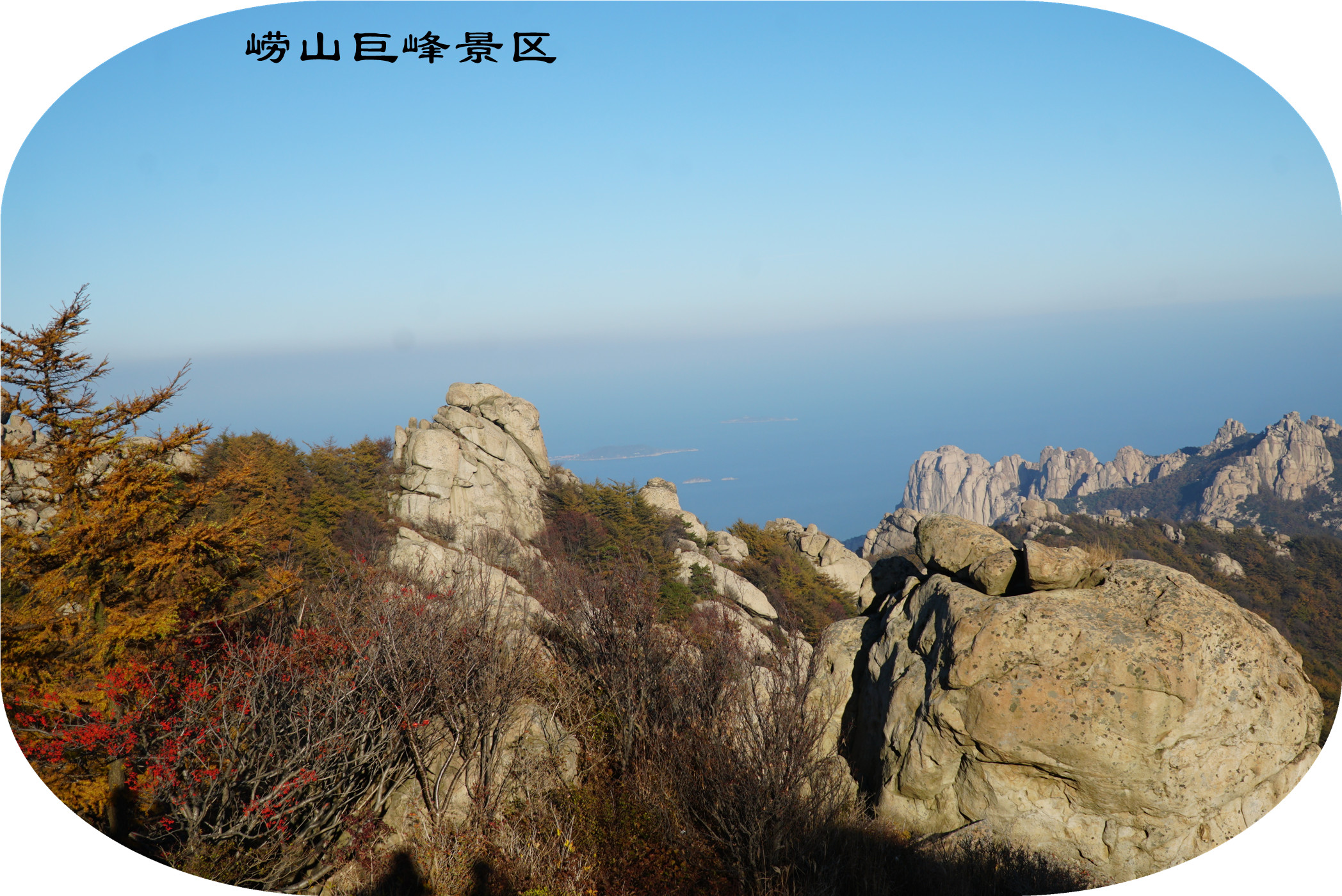 DSC03421.jpg