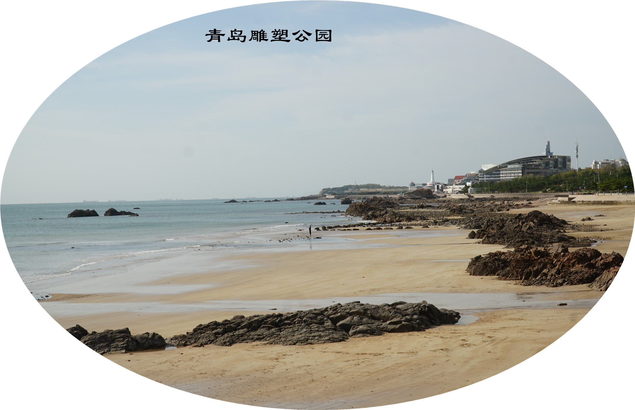 DSC03454.jpg