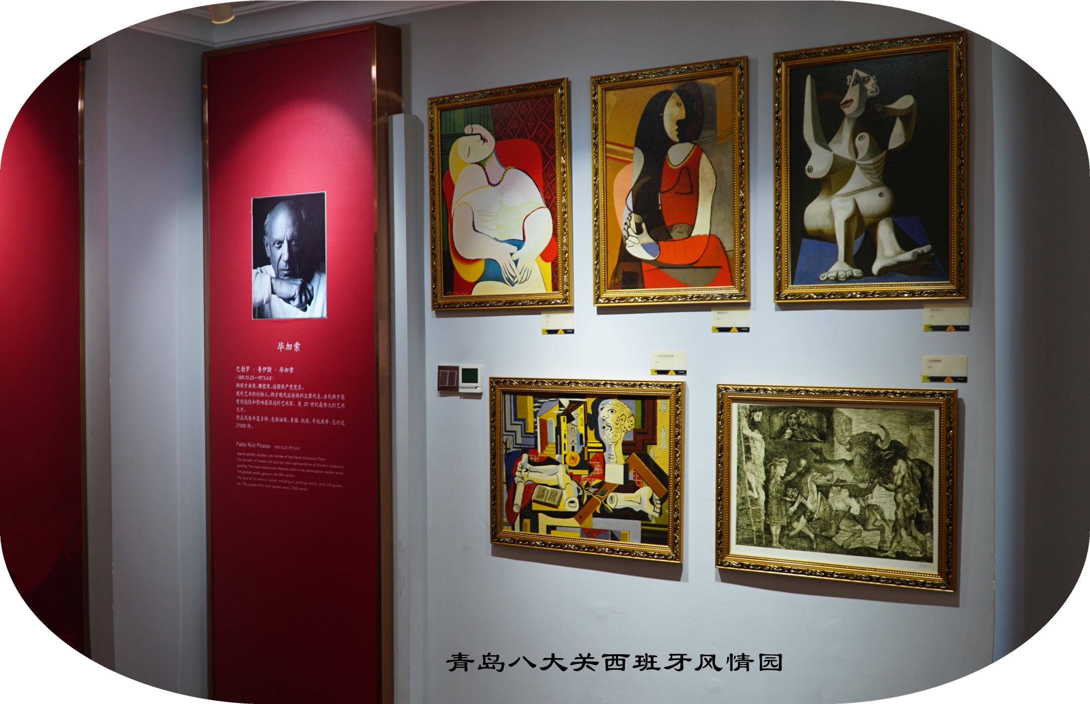 DSC03475.jpg