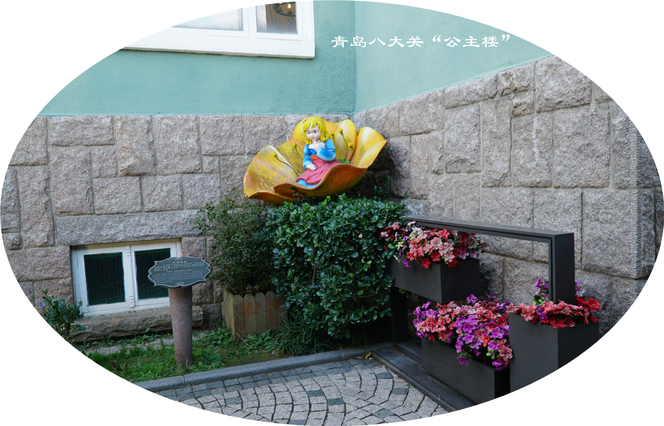 DSC03488.jpg