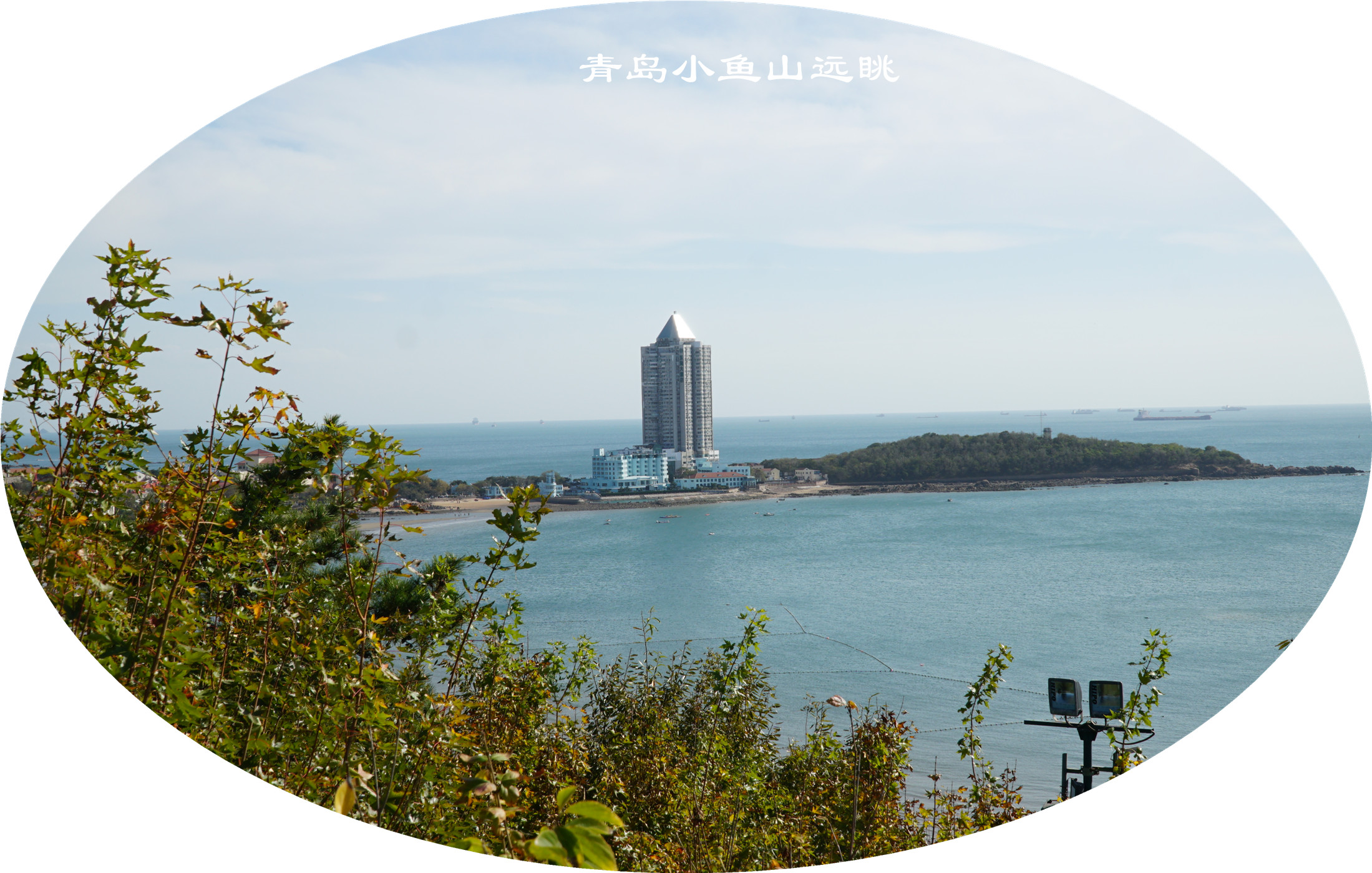 DSC03500.jpg