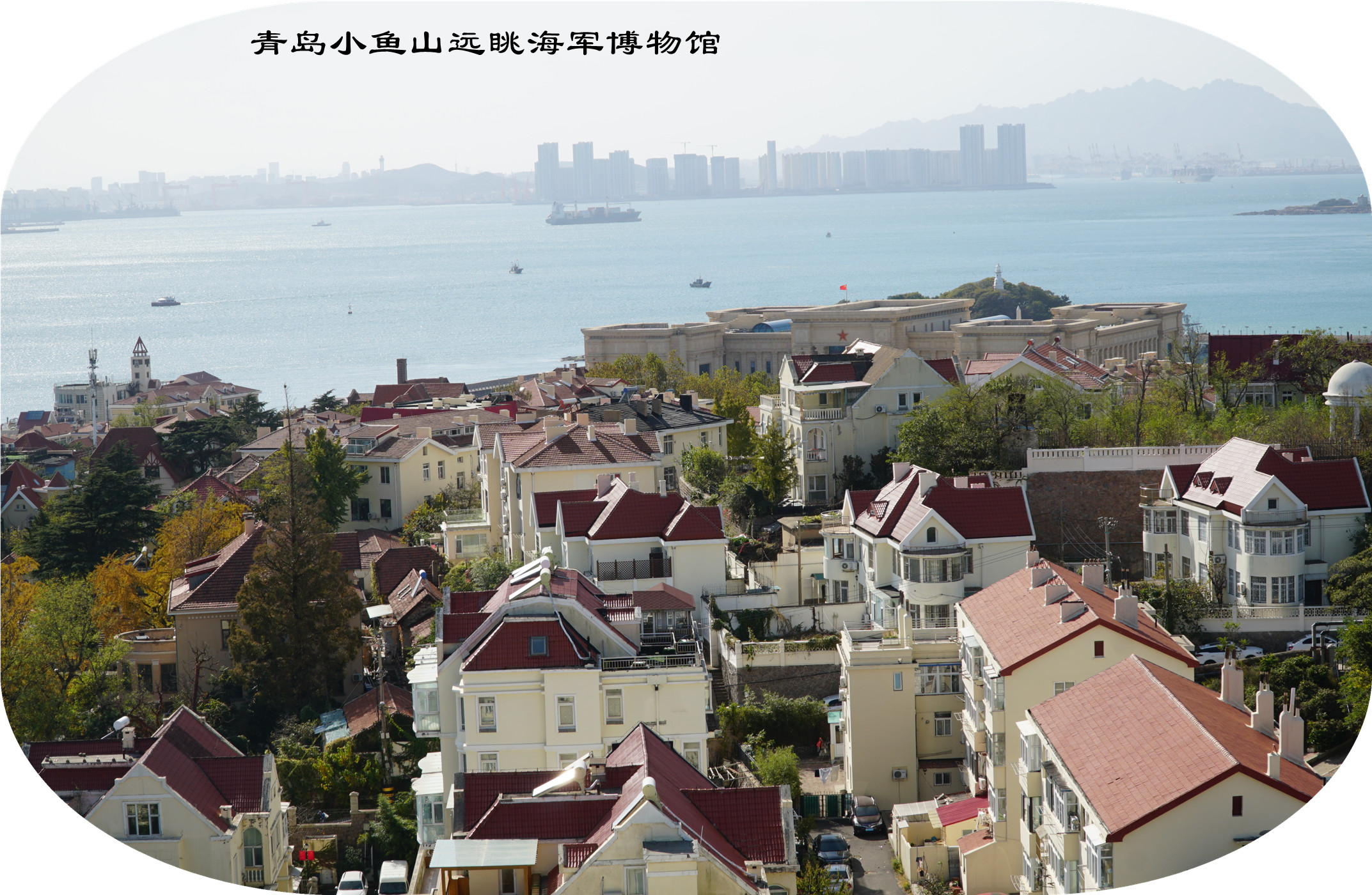 DSC03509.jpg
