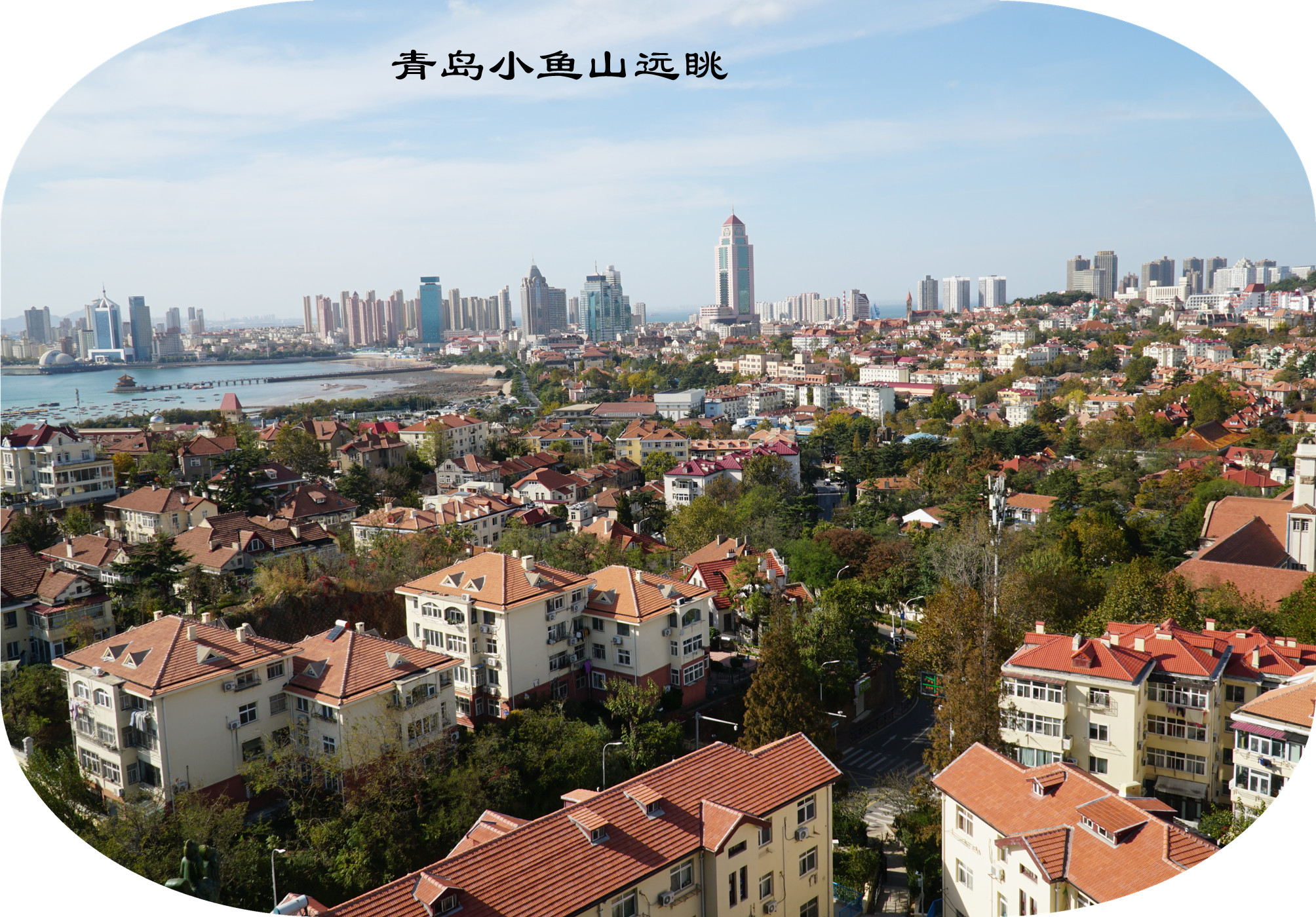 DSC03506.jpg
