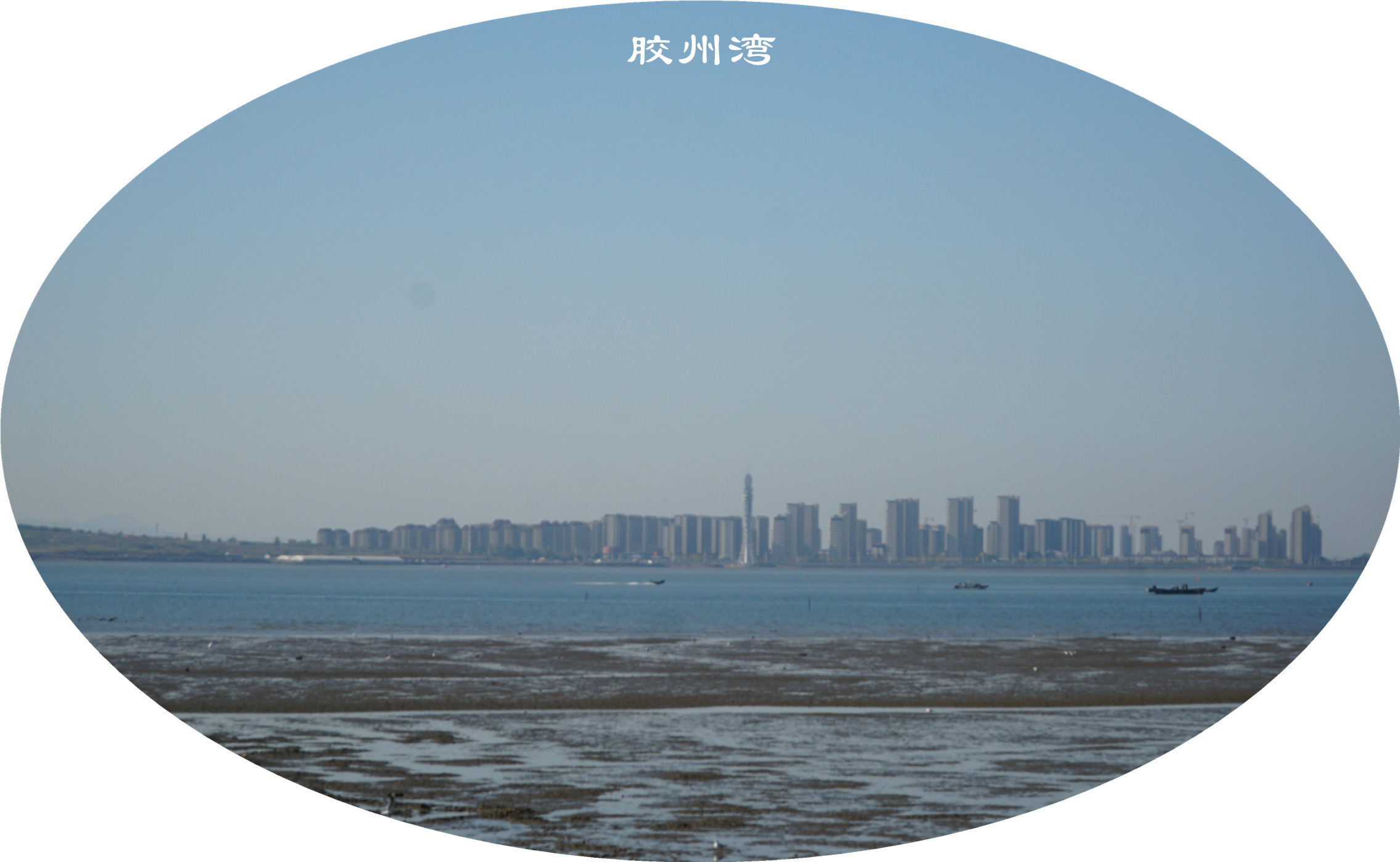 DSC03553.jpg