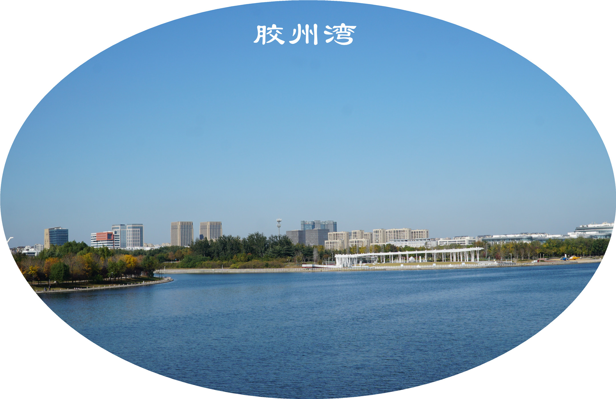 DSC03559.jpg