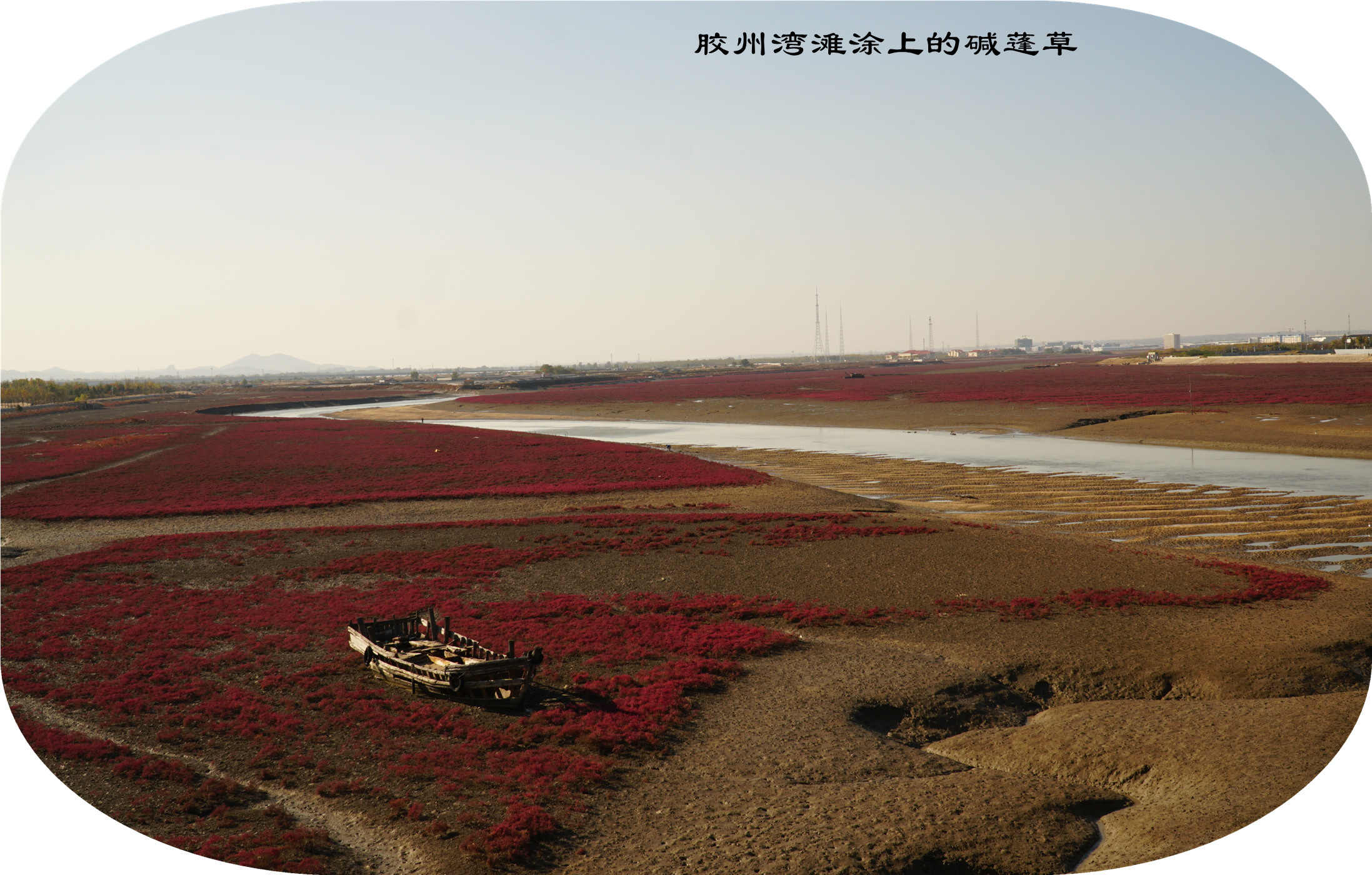 DSC03570.jpg
