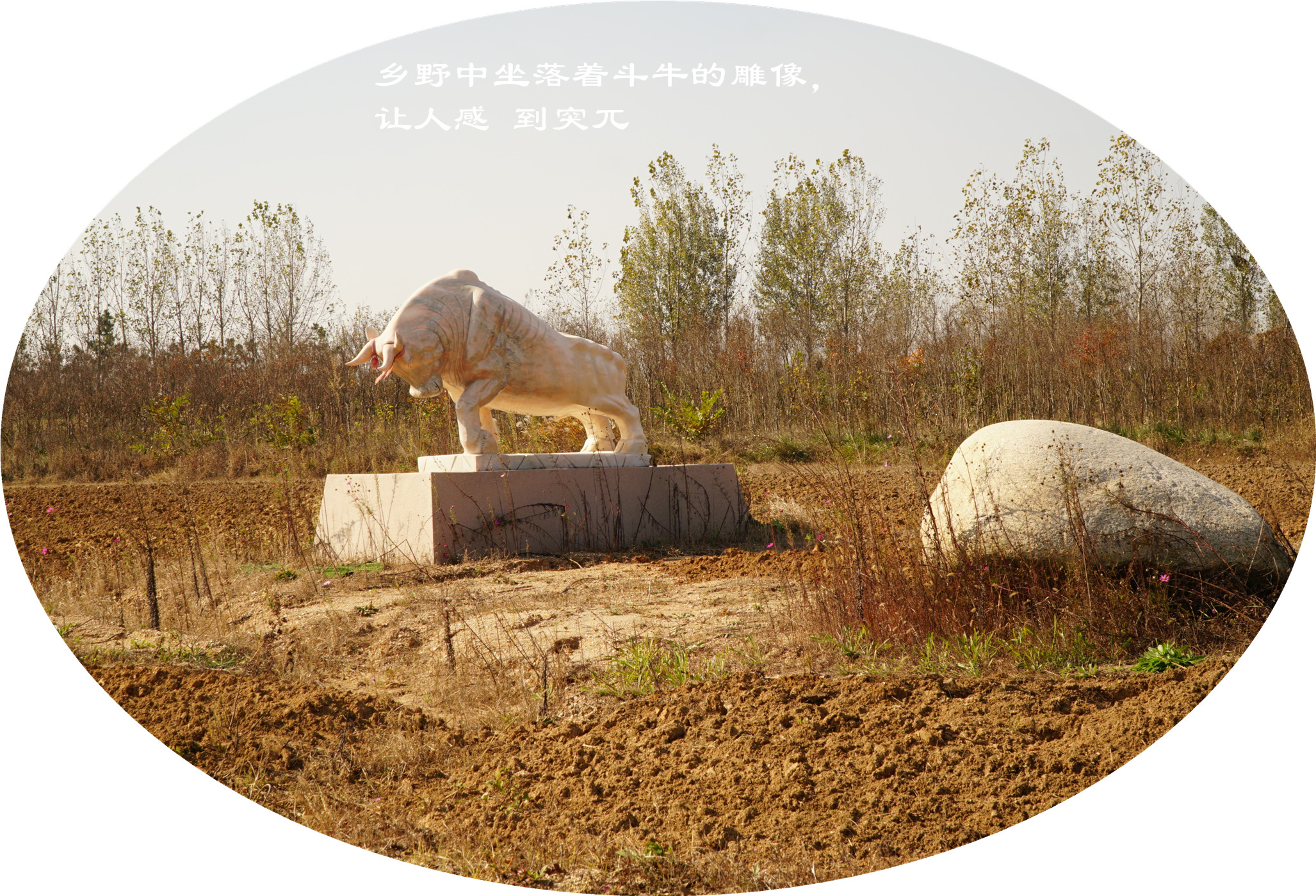DSC03585.jpg