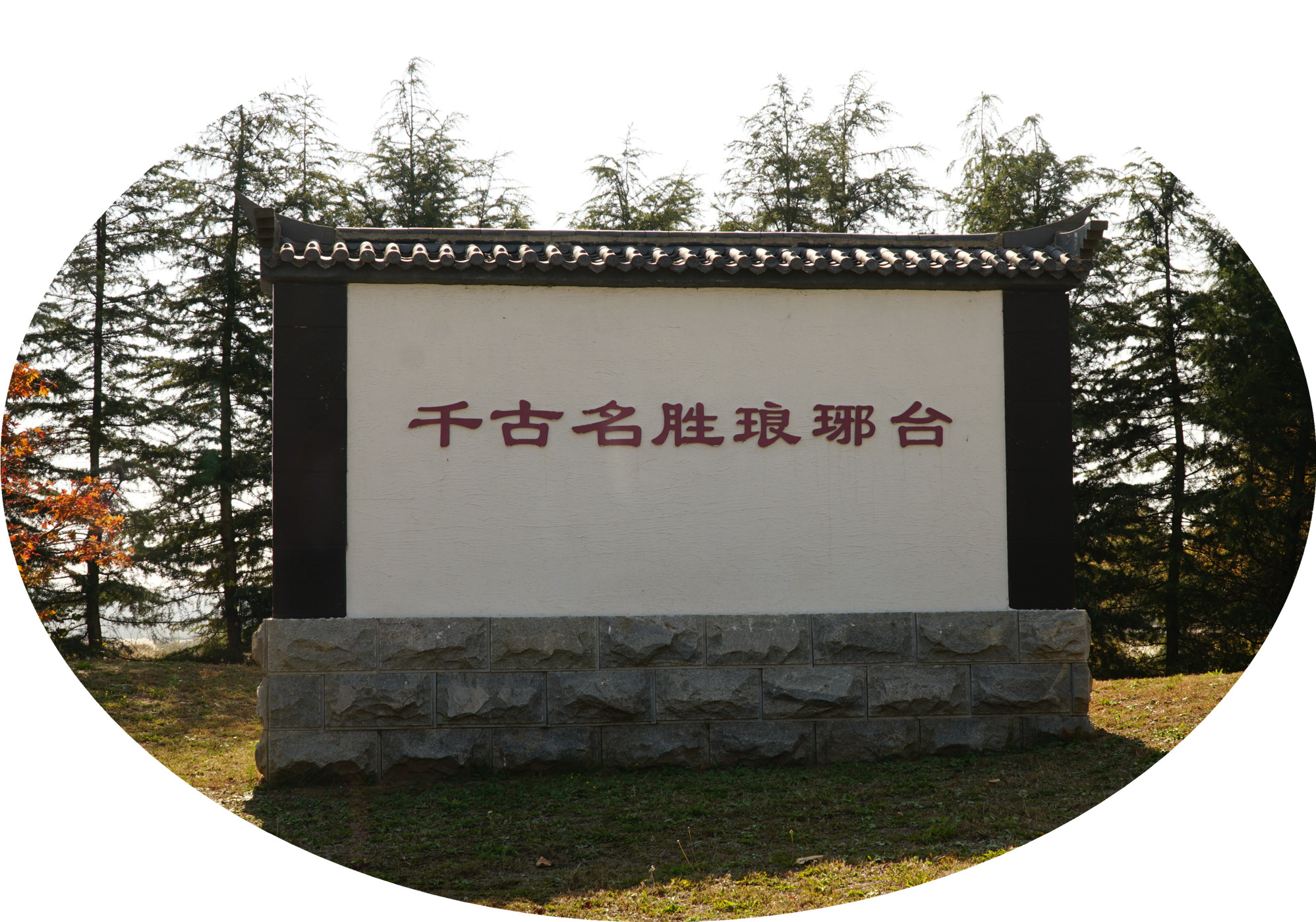 DSC03588.jpg