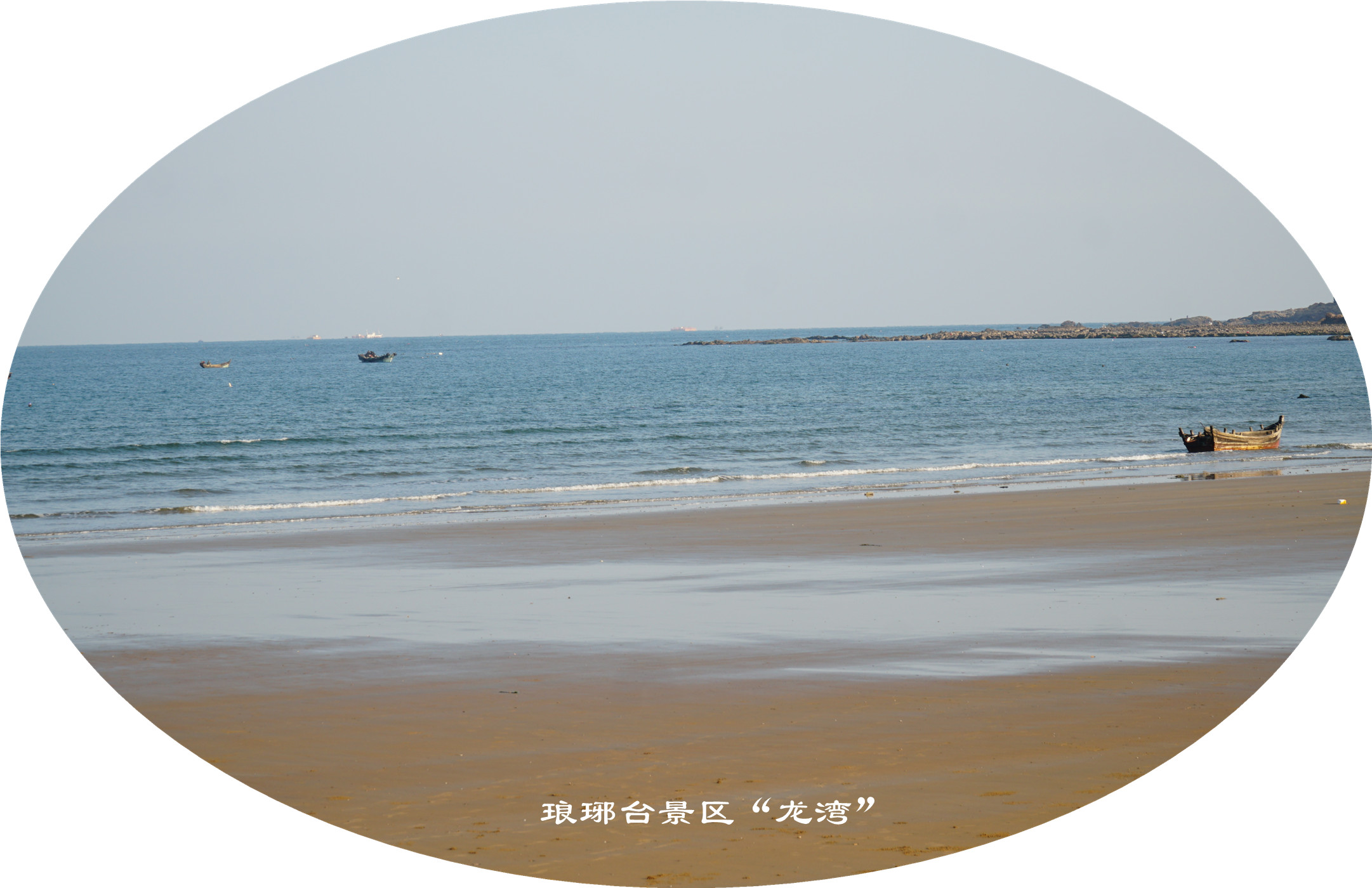 DSC03646.jpg