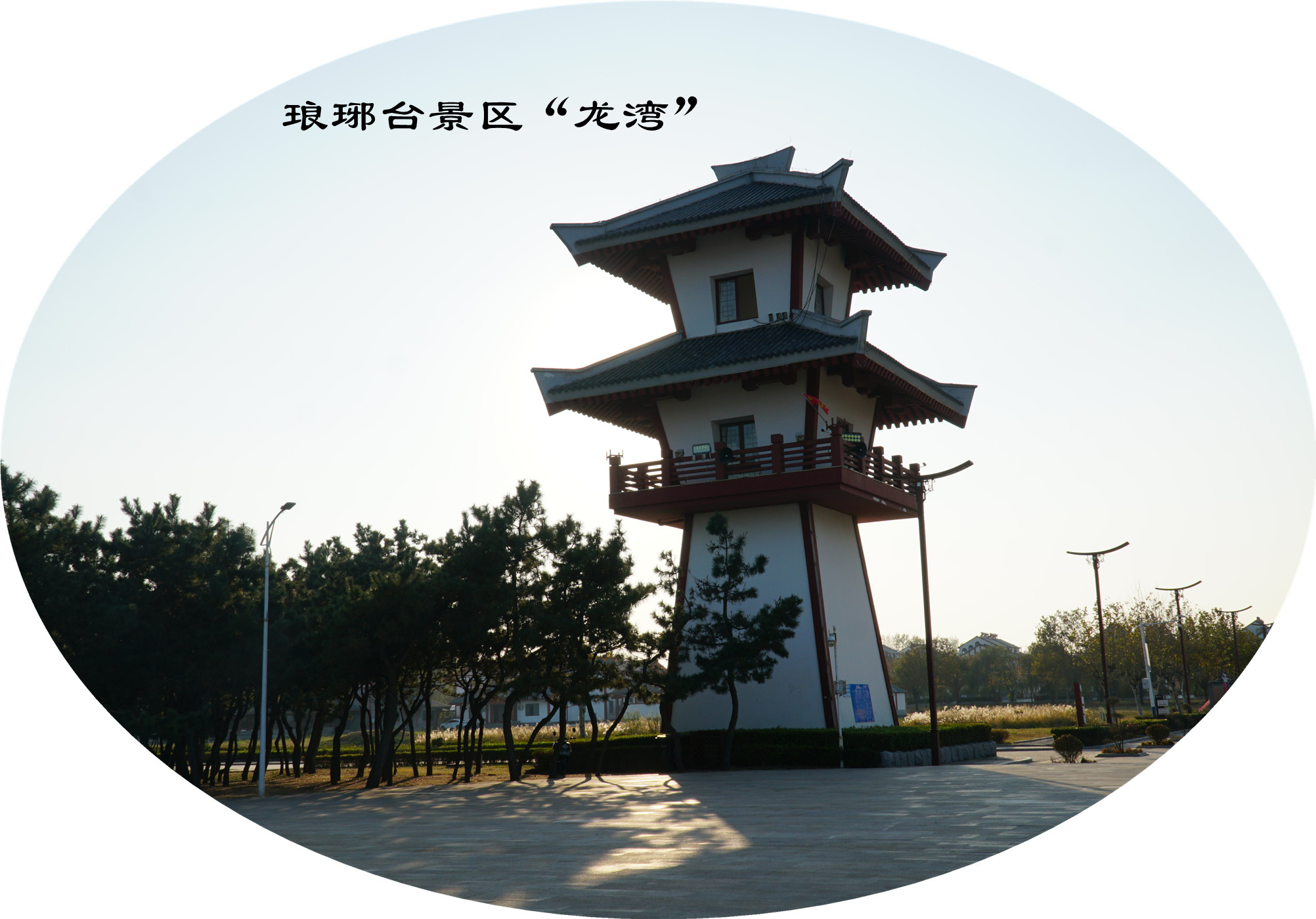 DSC03644.jpg