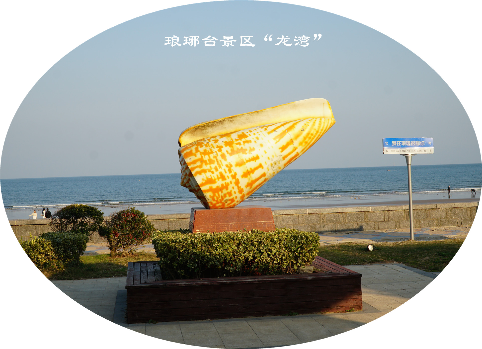 DSC03652.jpg