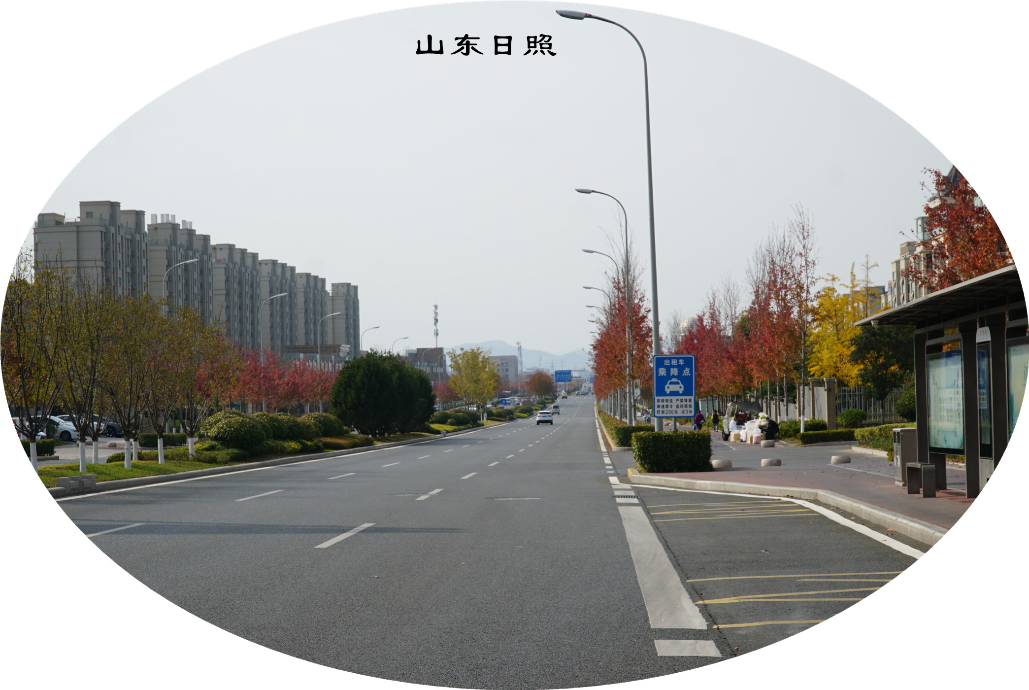 DSC03681.jpg