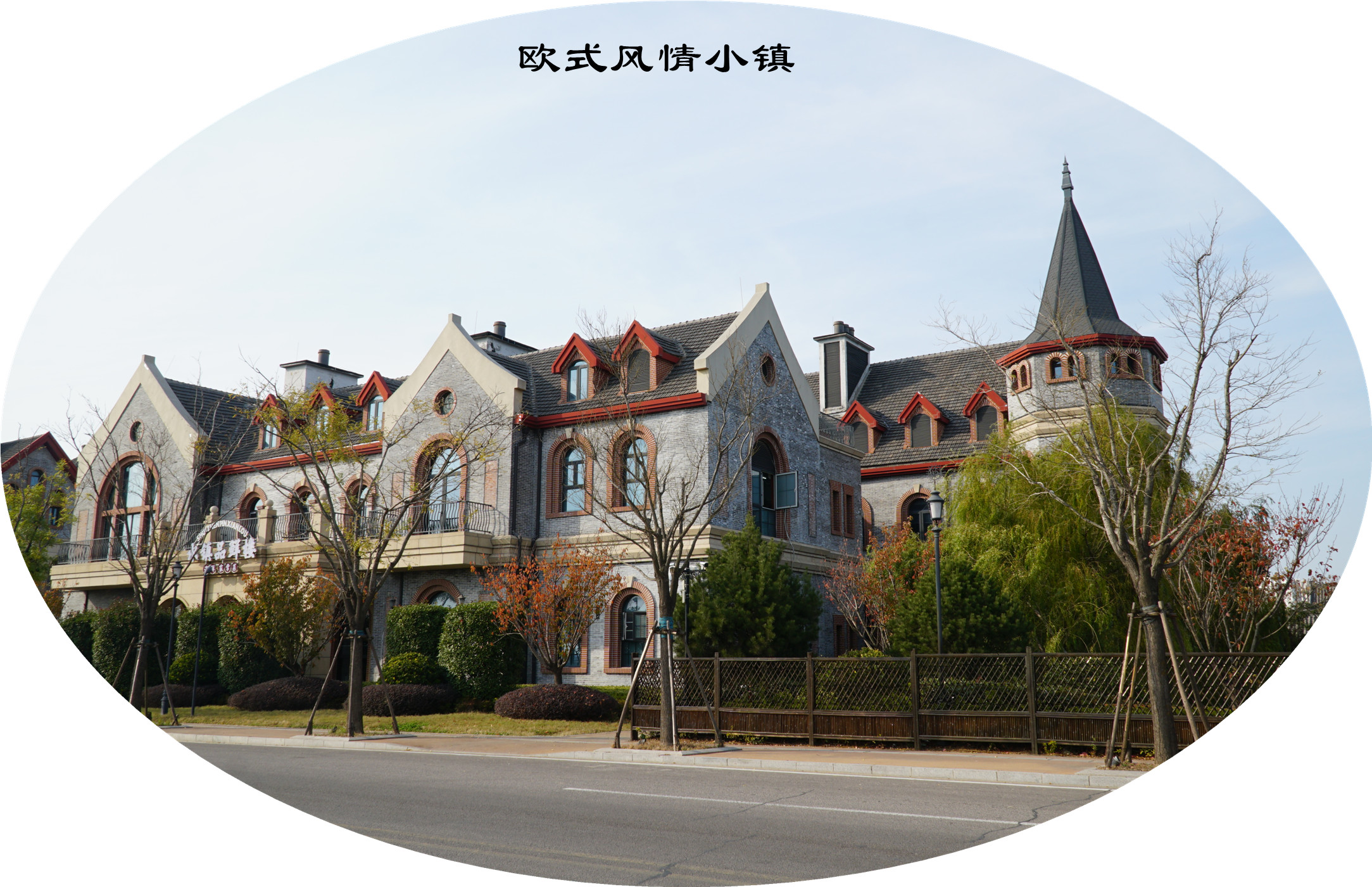 DSC03687.jpg